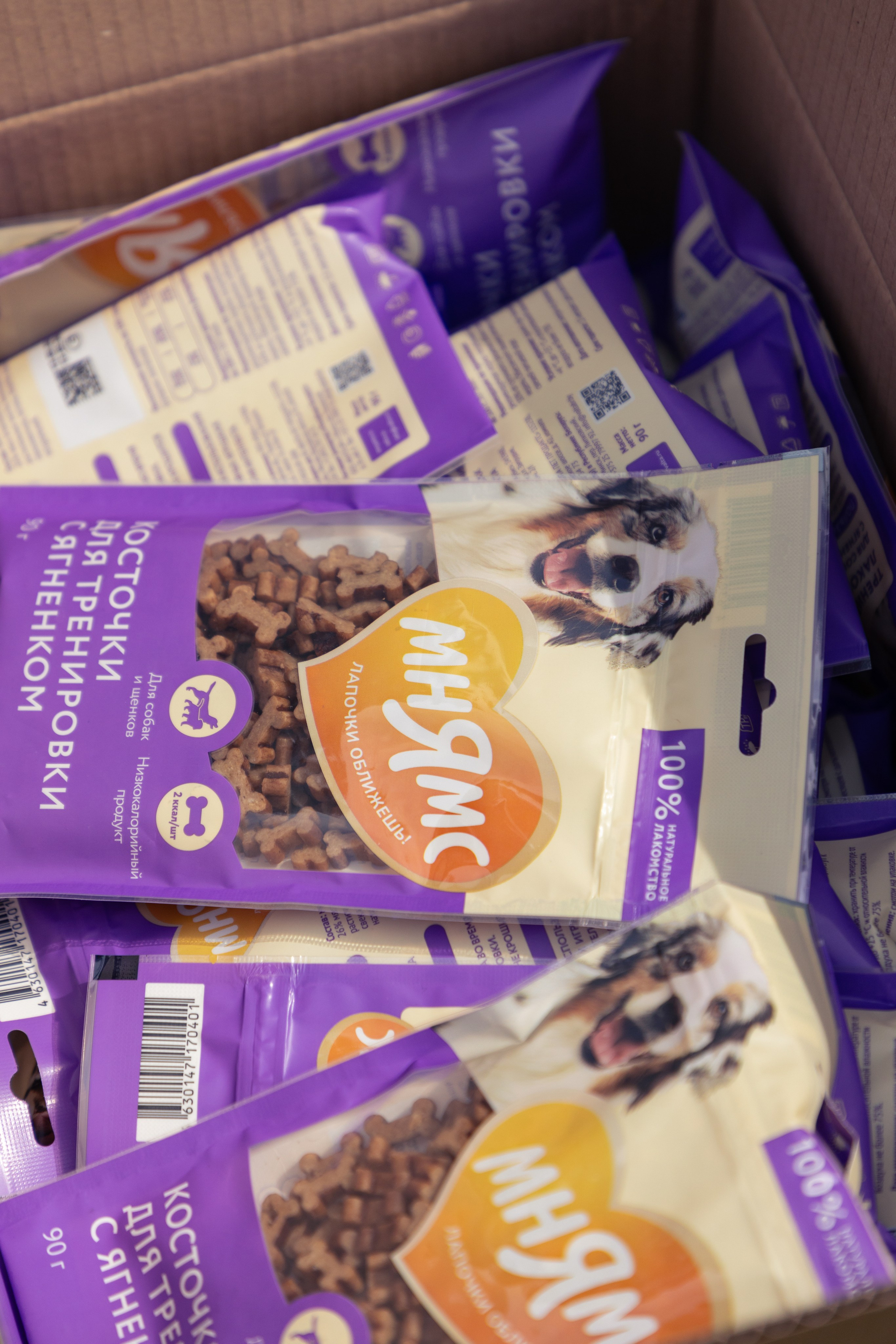 ДПСО «ЛизаАлерт». Главная