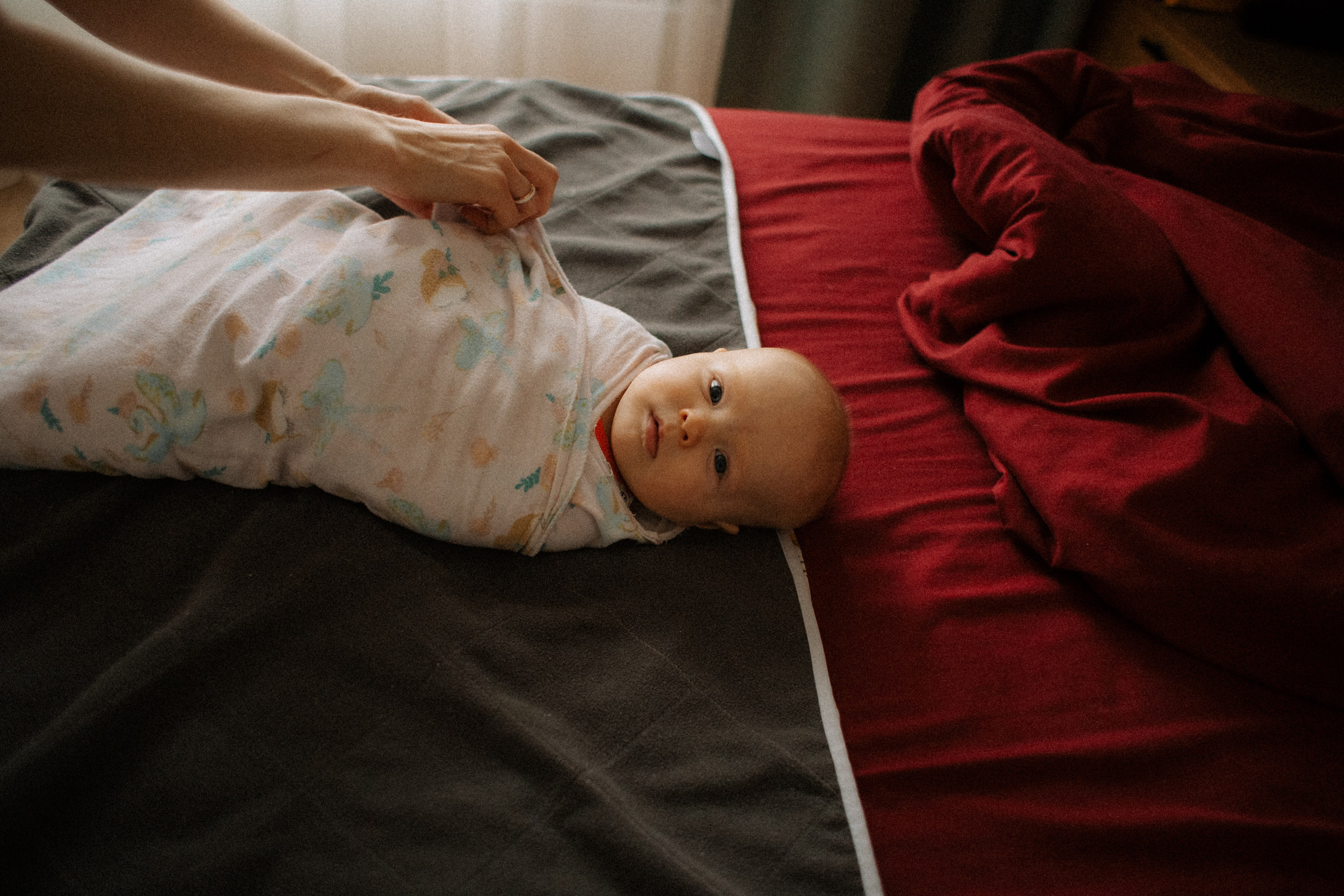 Алиса. Семейный фотограф Виктория Потехина Москва