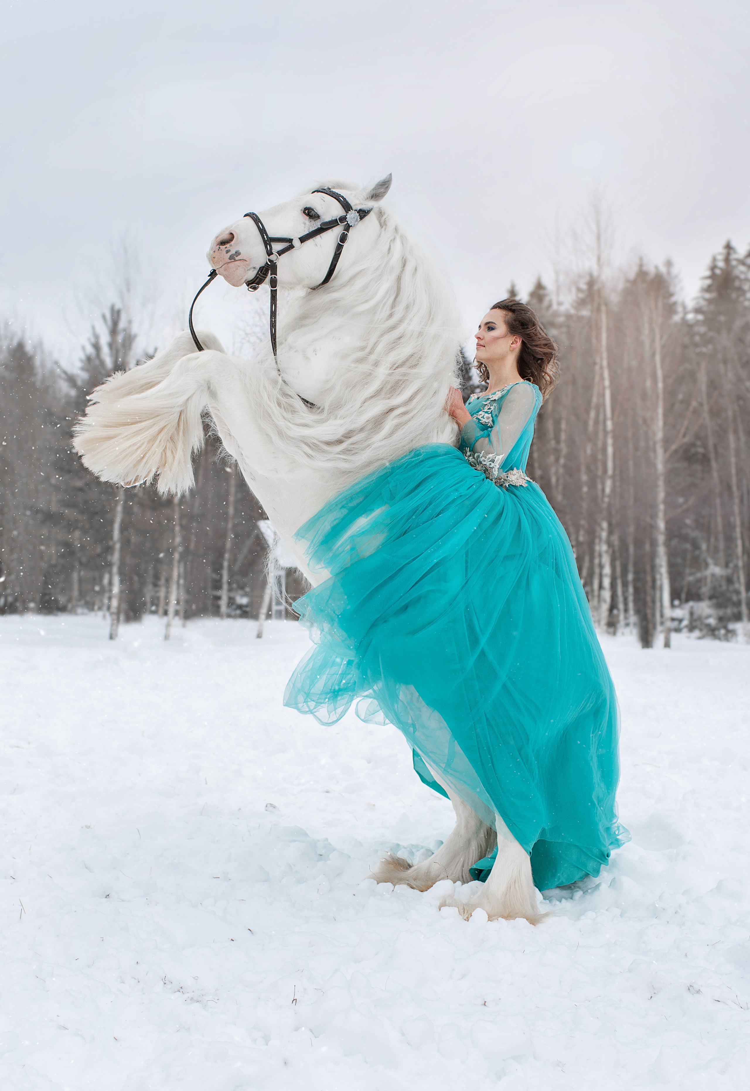 Конные съемки. Фотограф в Москве Ольга Борзова