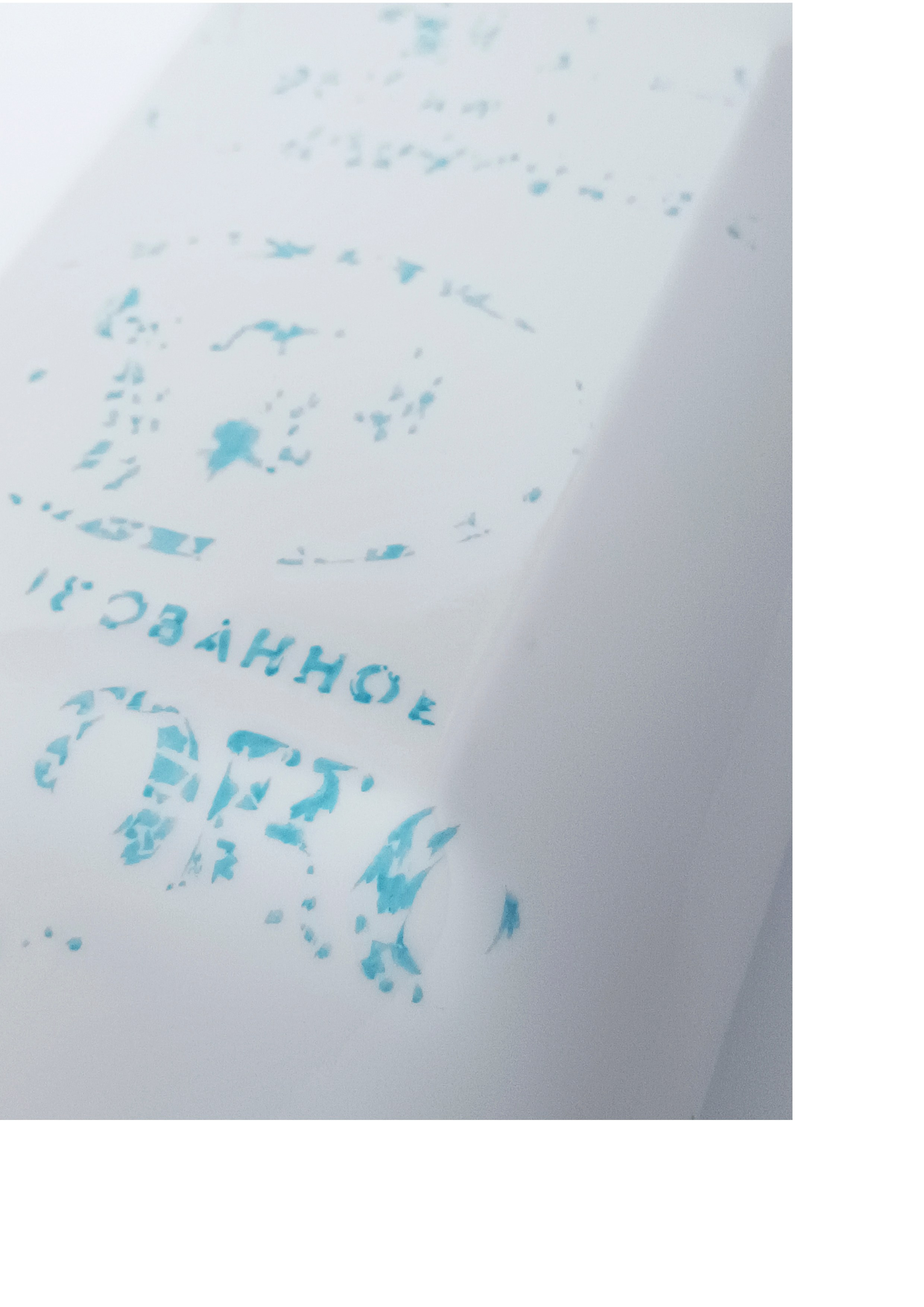 ЖИЗНЬ В МОЛОЧНОМ ПАКЕТЕ. Юлия Шабаева