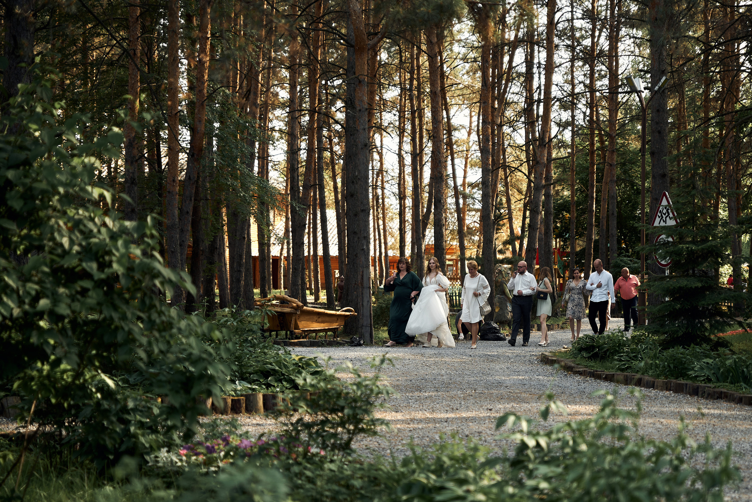 Ирина & Николай. Фотограф Михаил Ефремов