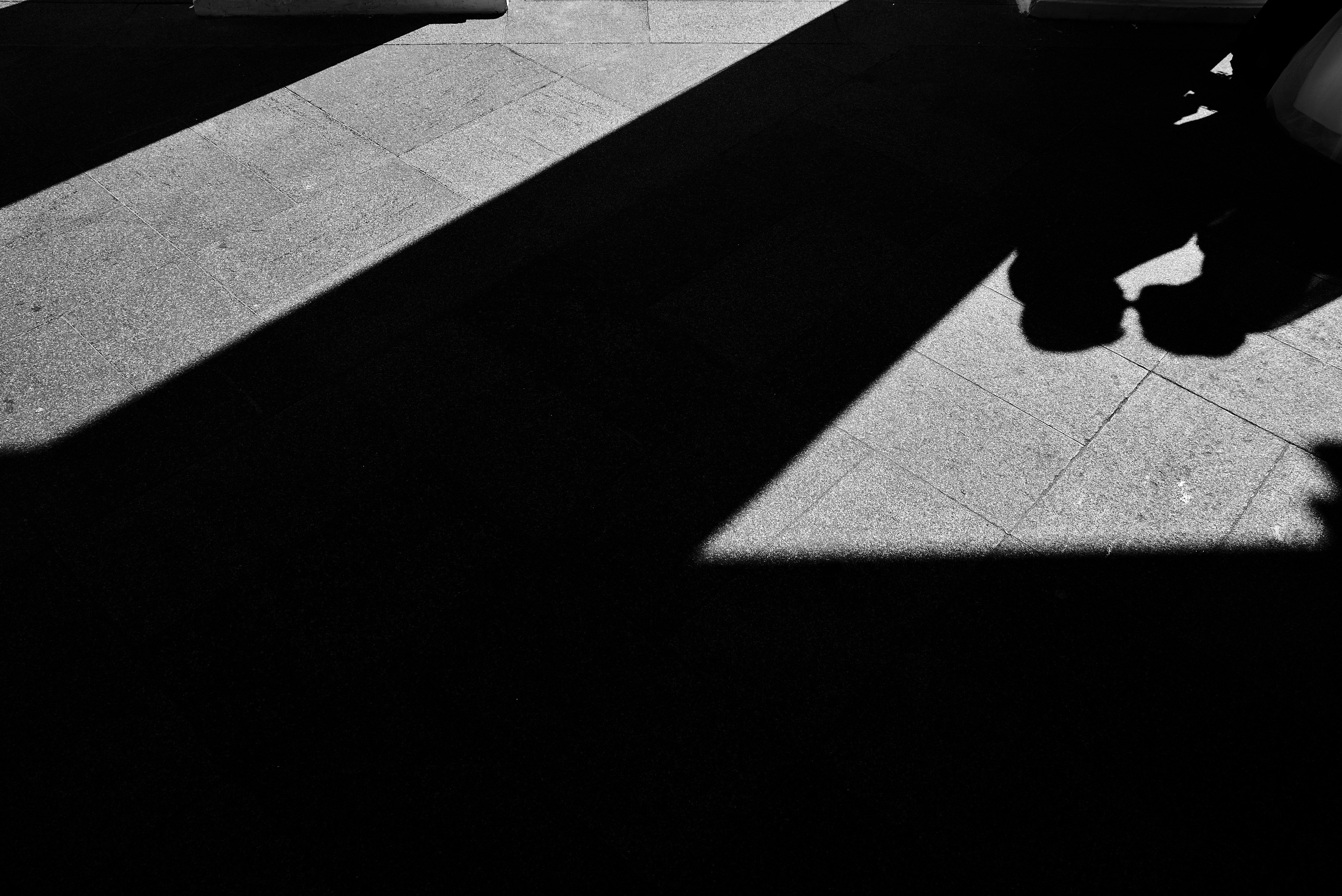 Светлана & Алексей. Фотограф Михаил Ефремов