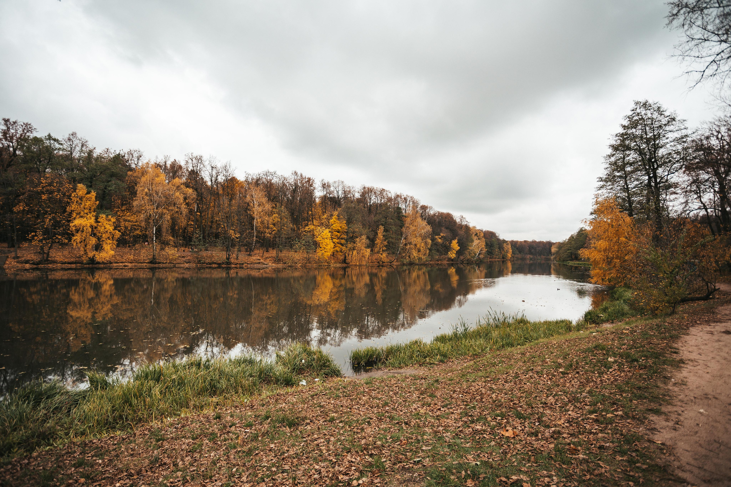Усадьба Кузьминки. Фотограф Сонкина Татьяна