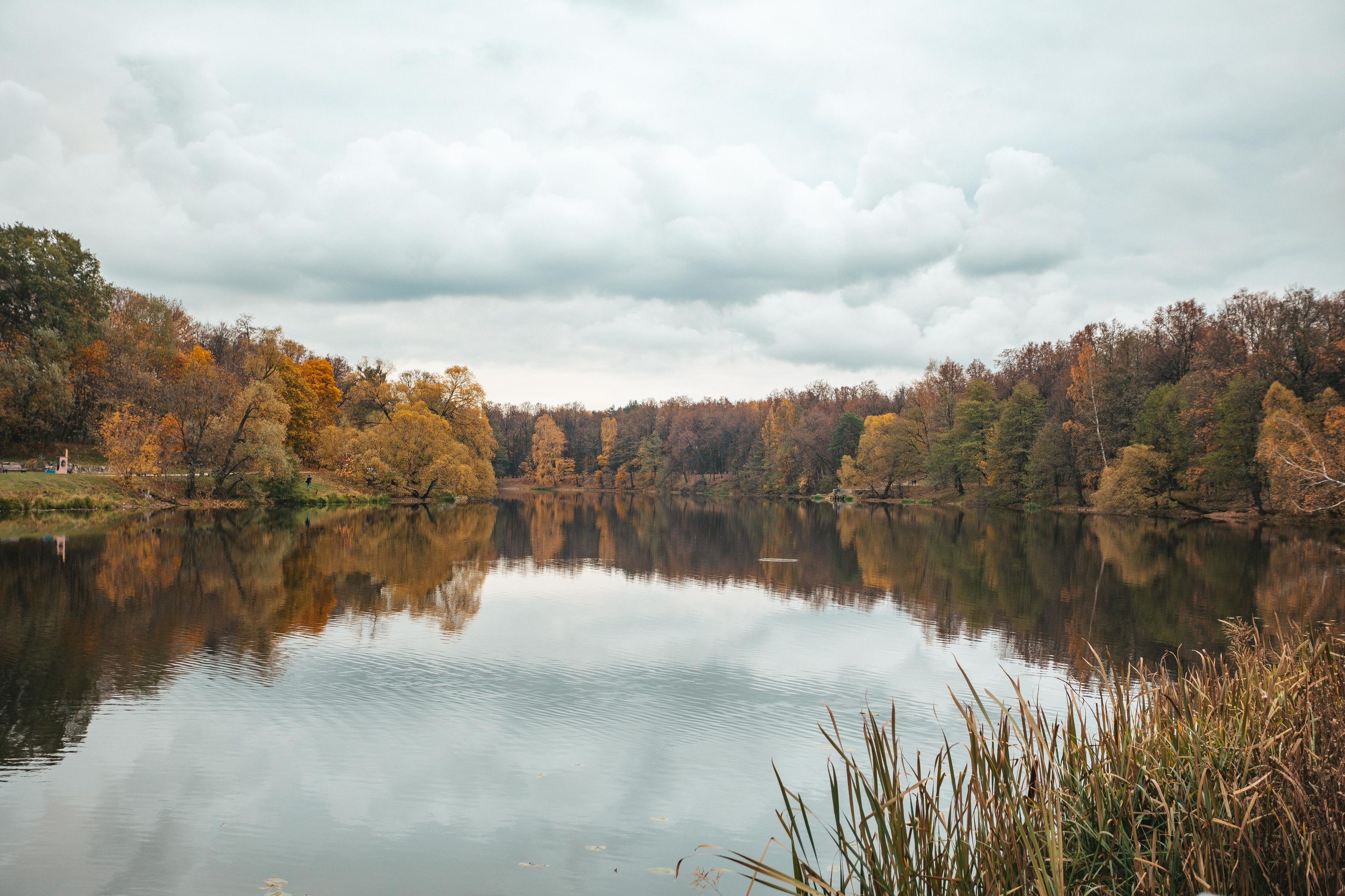 Усадьба Кузьминки. Фотограф Сонкина Татьяна