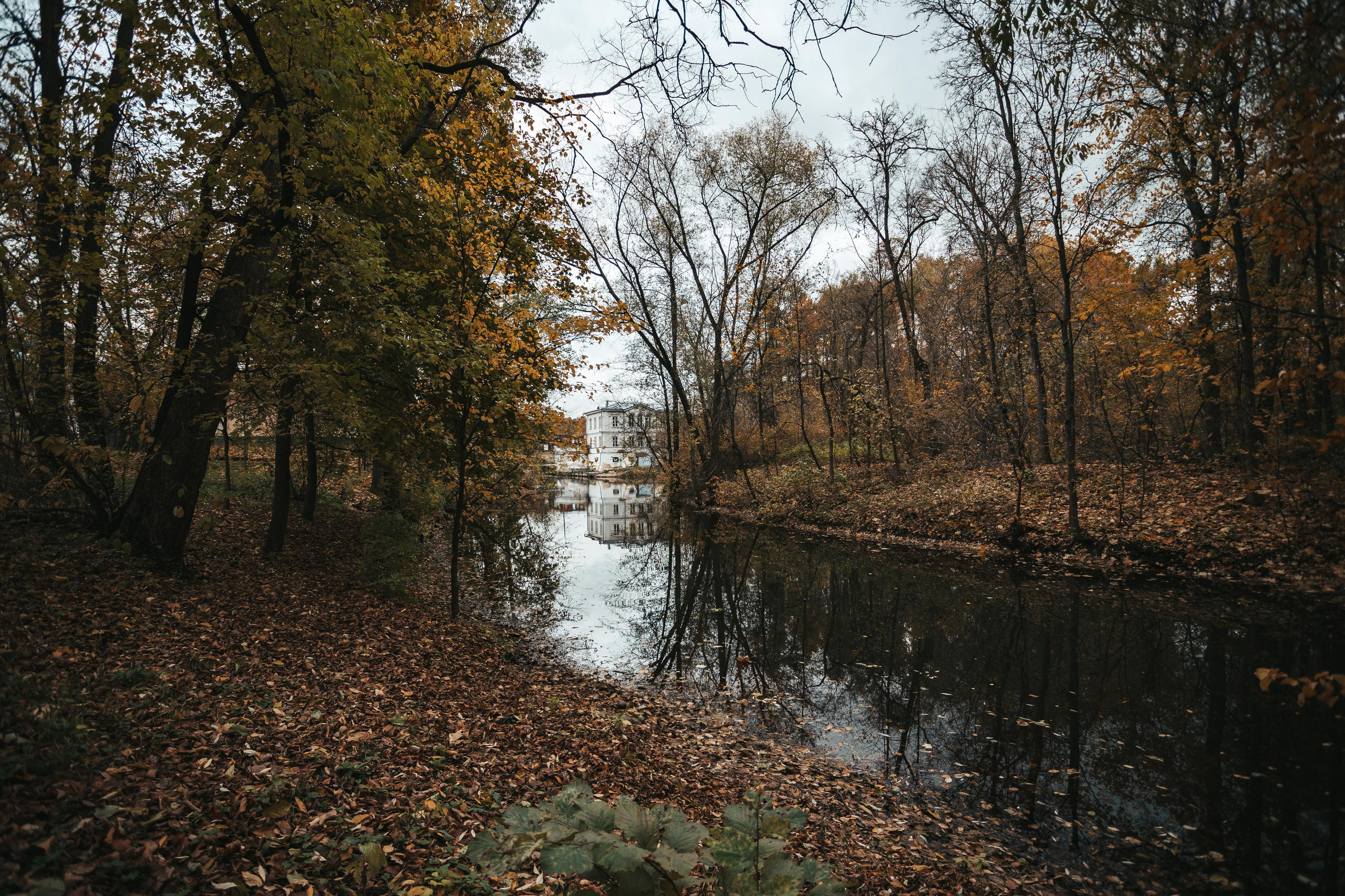 Усадьба Кузьминки. Фотограф Сонкина Татьяна