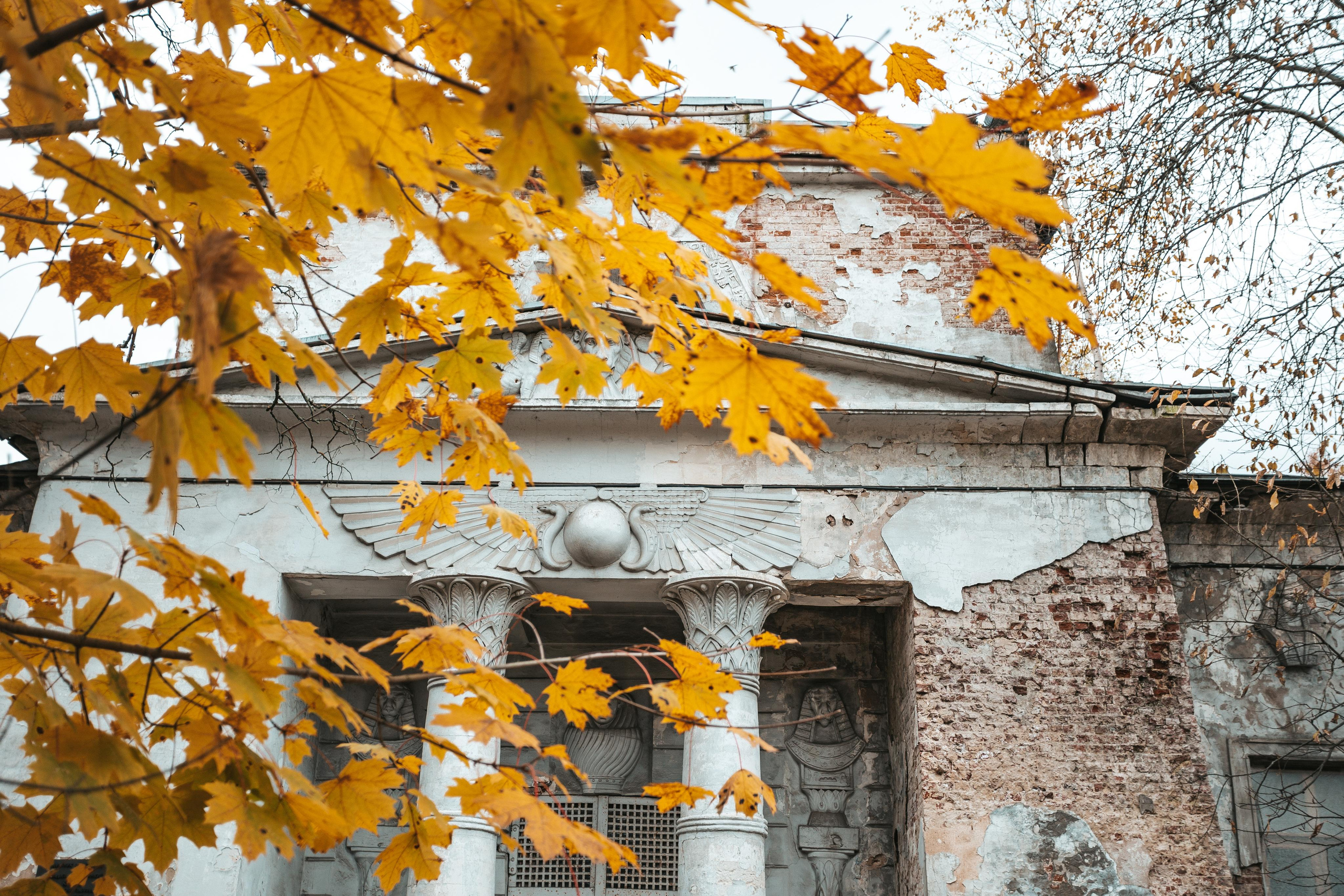 Усадьба Кузьминки. Фотограф Сонкина Татьяна