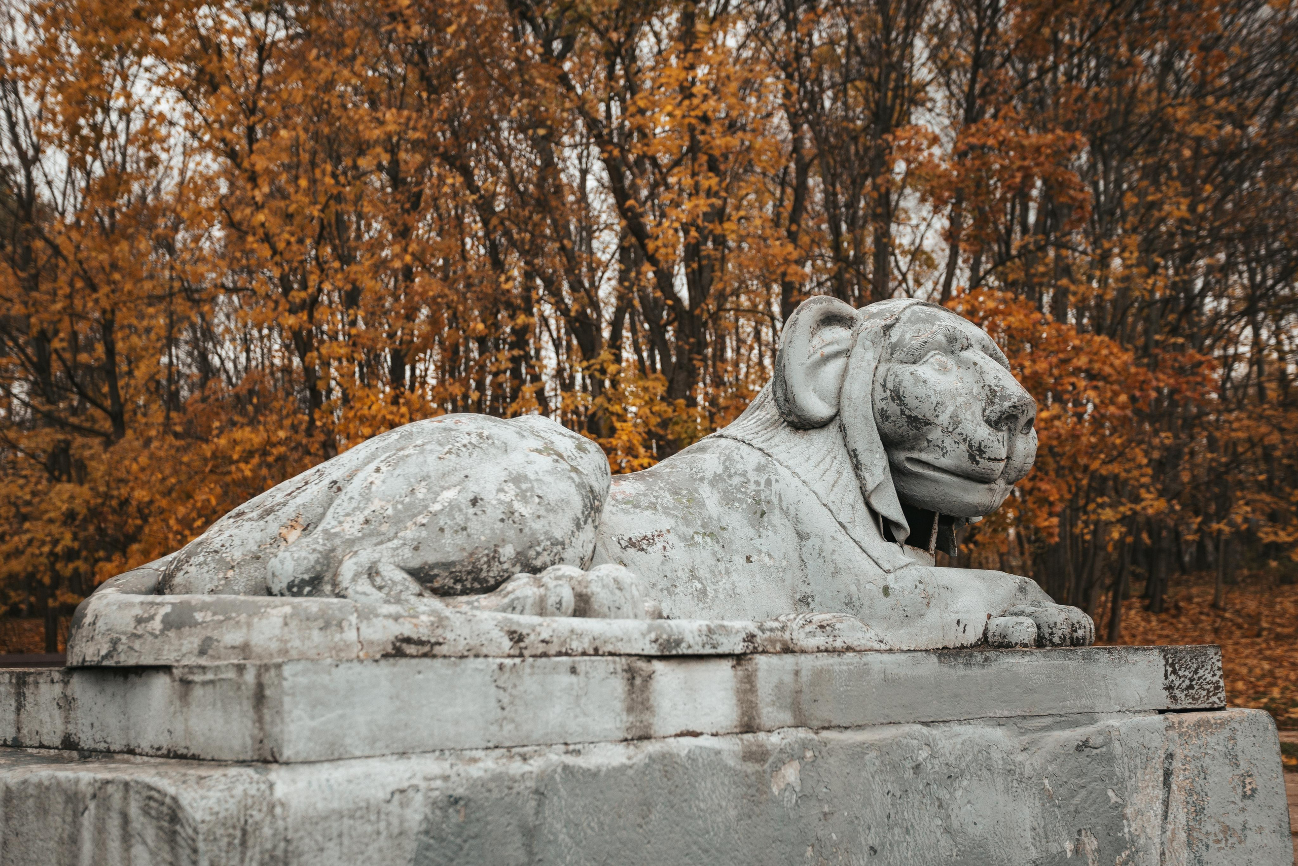 Усадьба Кузьминки. Фотограф Сонкина Татьяна