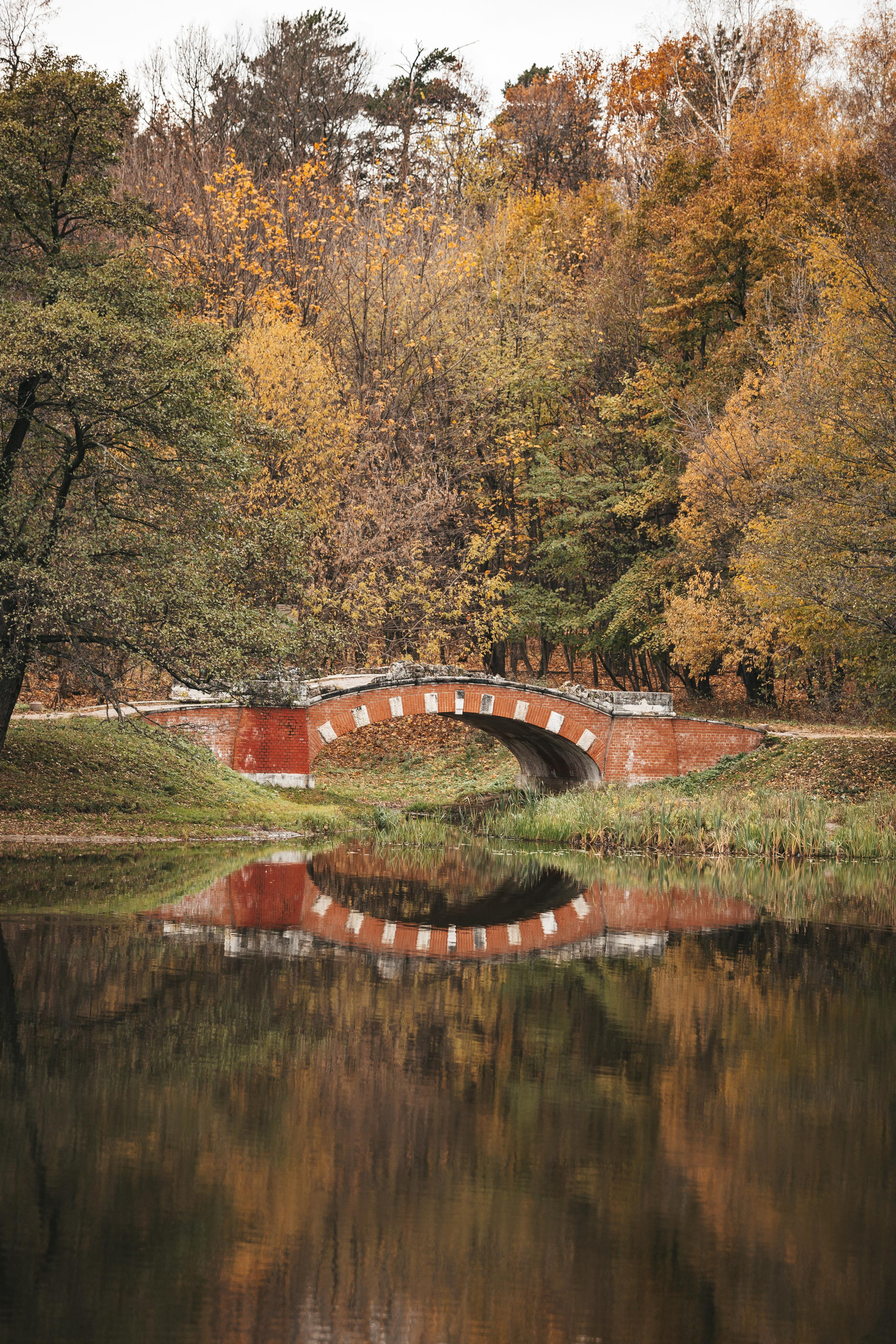 Усадьба Кузьминки. Фотограф Сонкина Татьяна