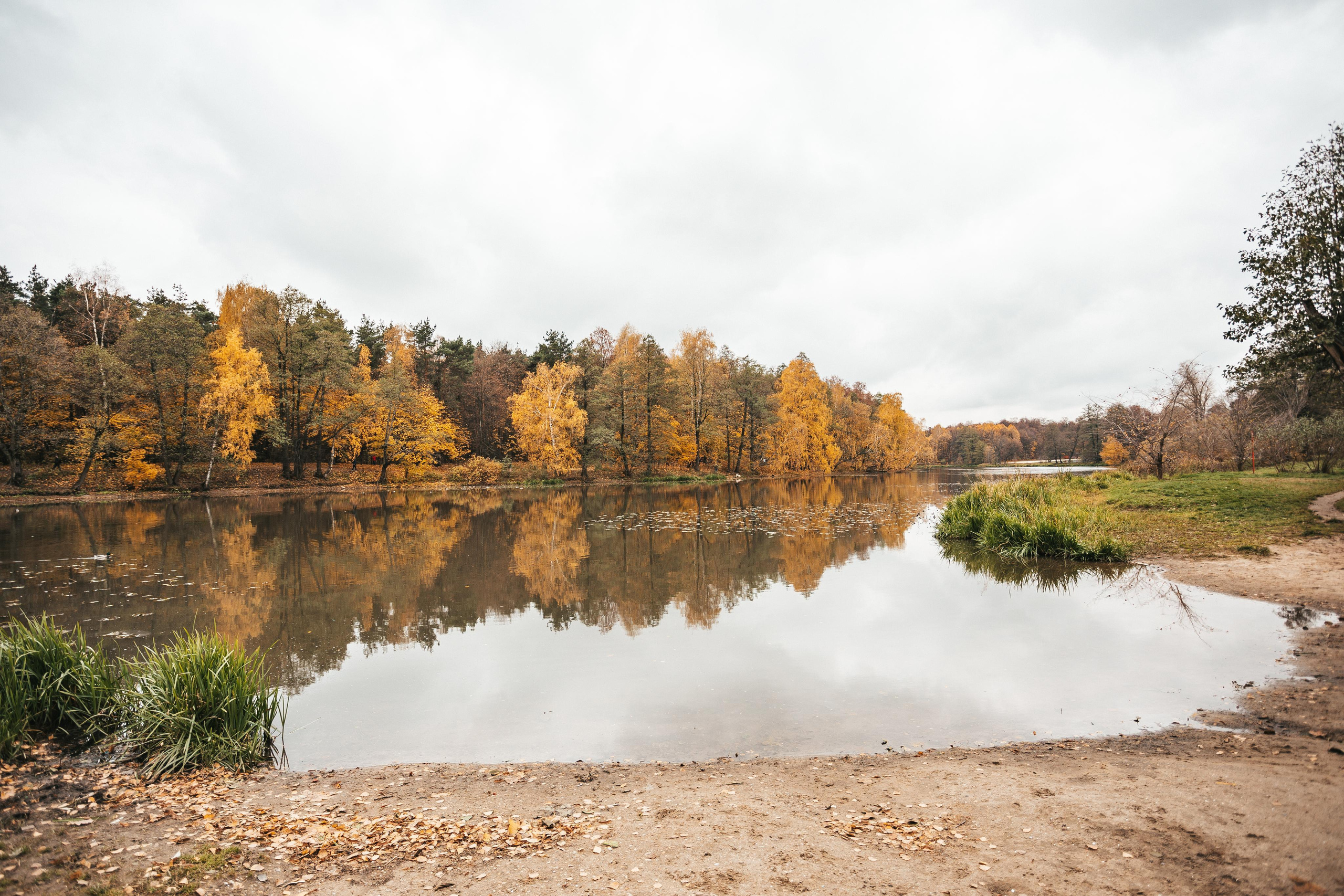 Усадьба Кузьминки. Фотограф Сонкина Татьяна