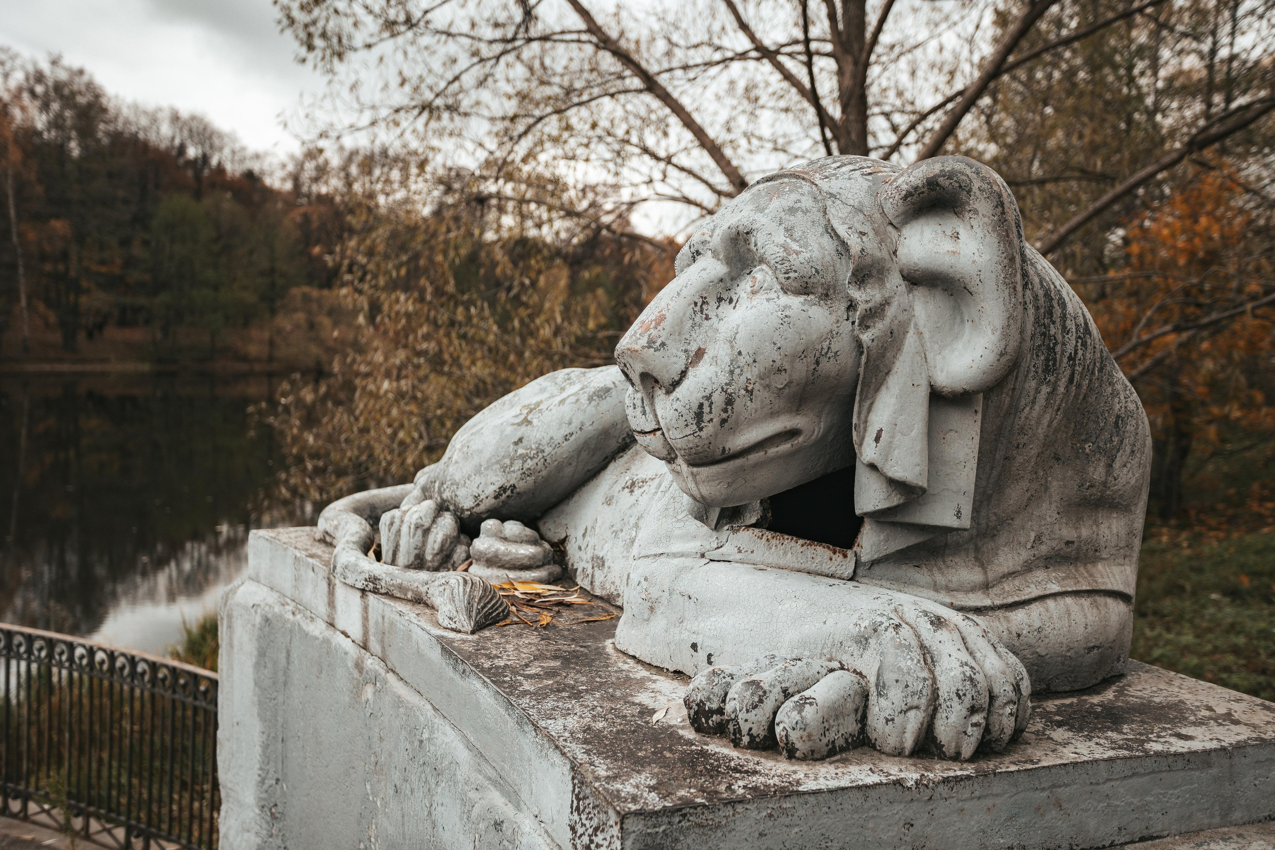 Усадьба Кузьминки. Фотограф Сонкина Татьяна