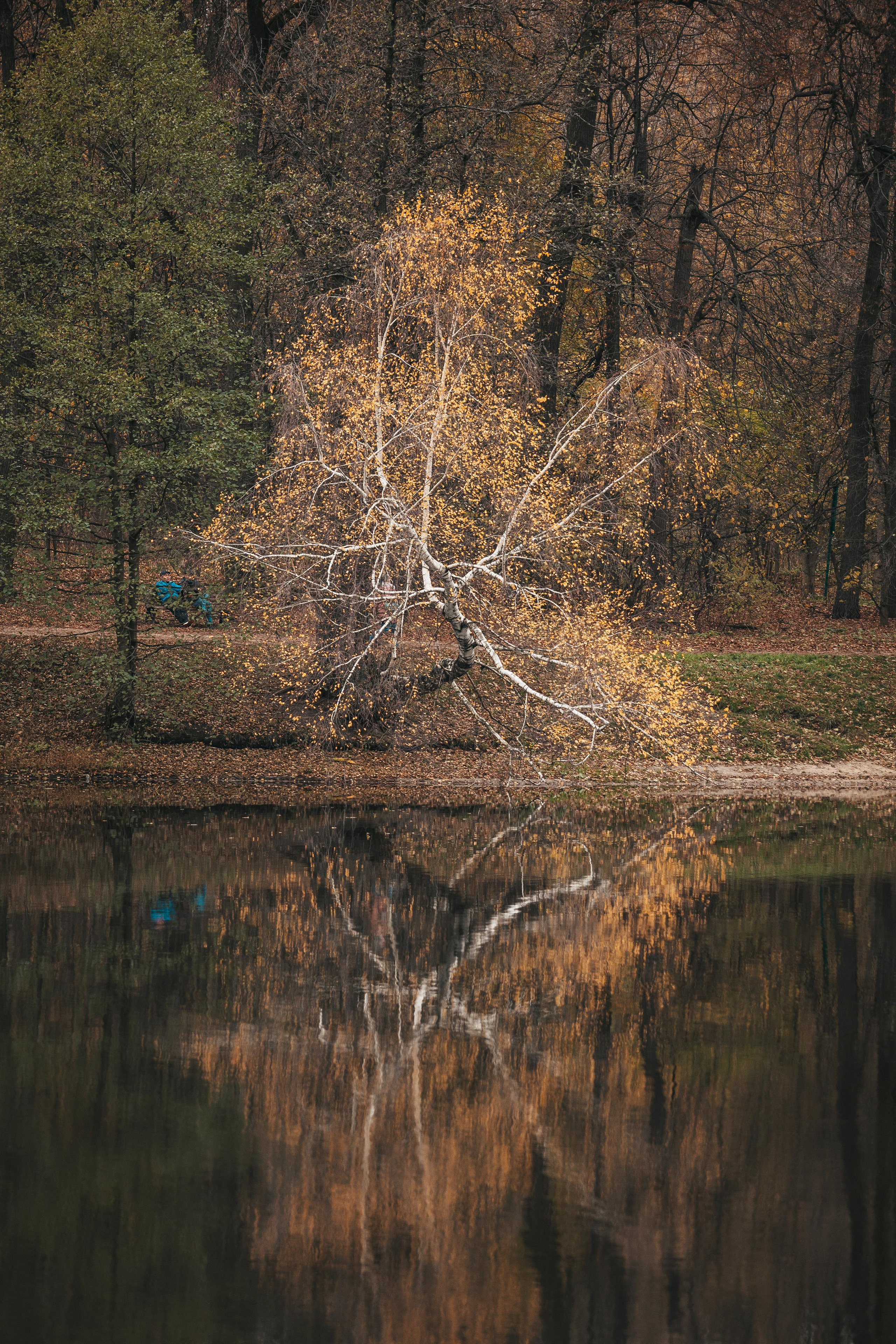 Усадьба Кузьминки. Фотограф Сонкина Татьяна