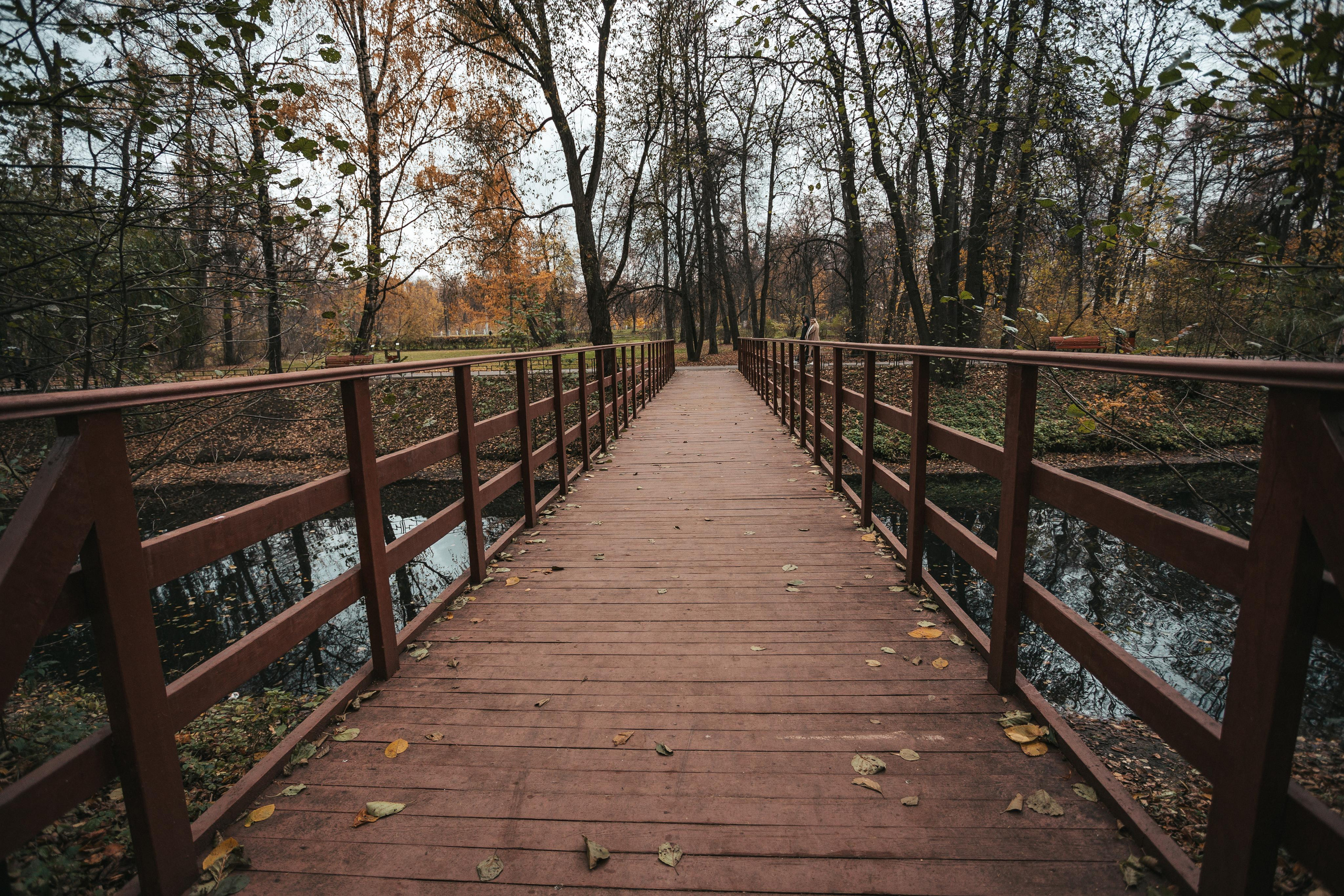 Усадьба Кузьминки. Фотограф Сонкина Татьяна