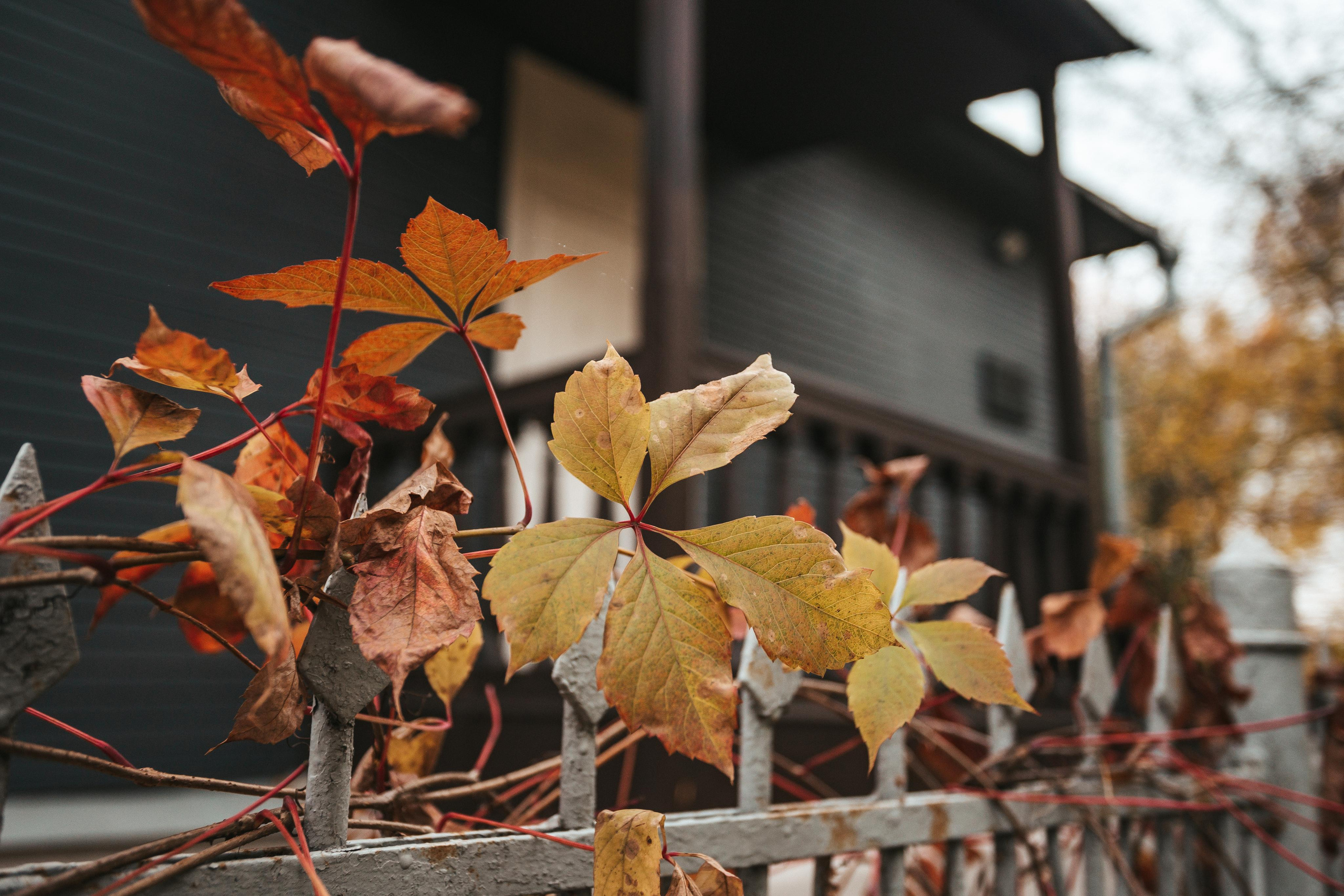 Музей К.Г. Паустовского в Москве