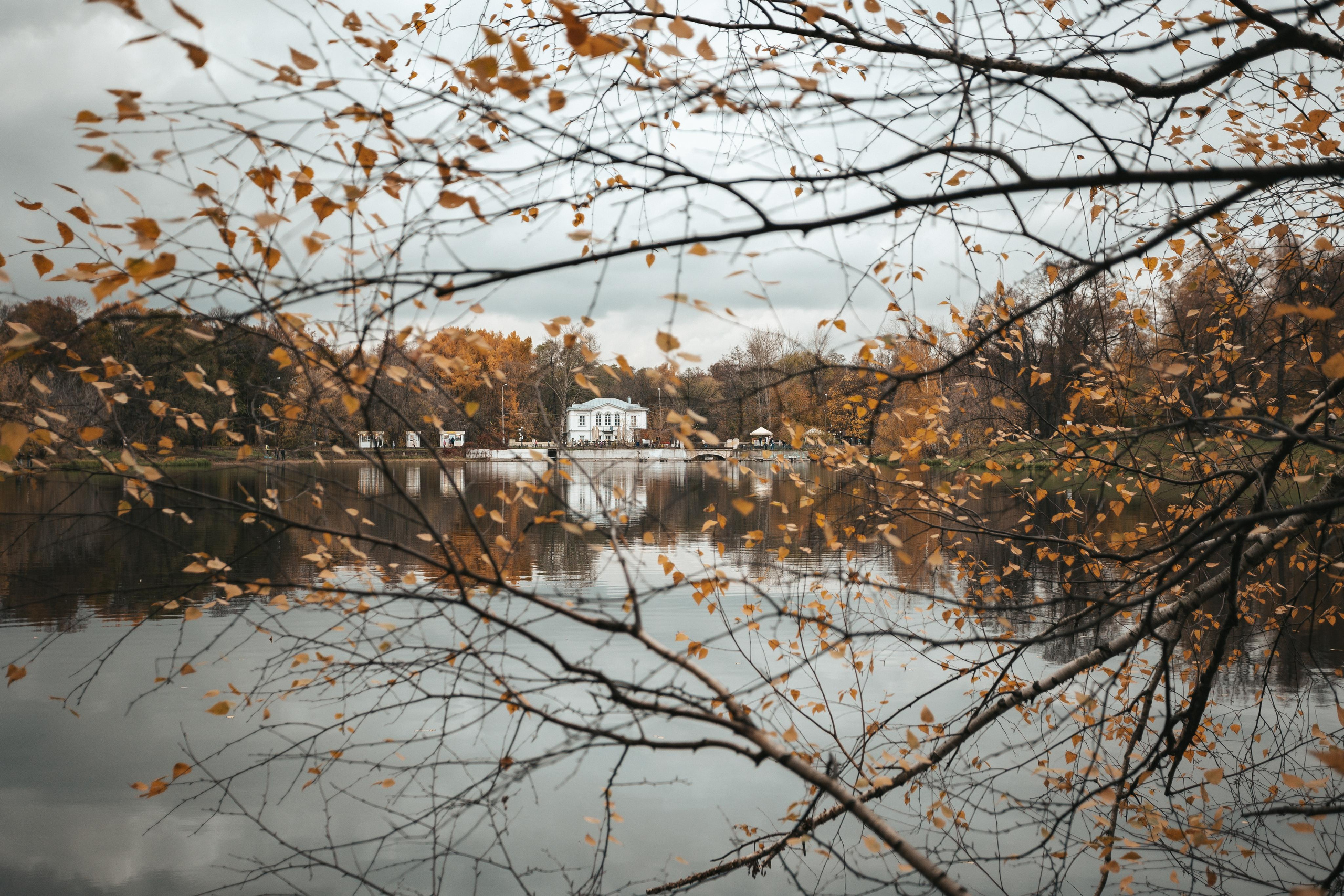 Усадьба Кузьминки. Фотограф Сонкина Татьяна