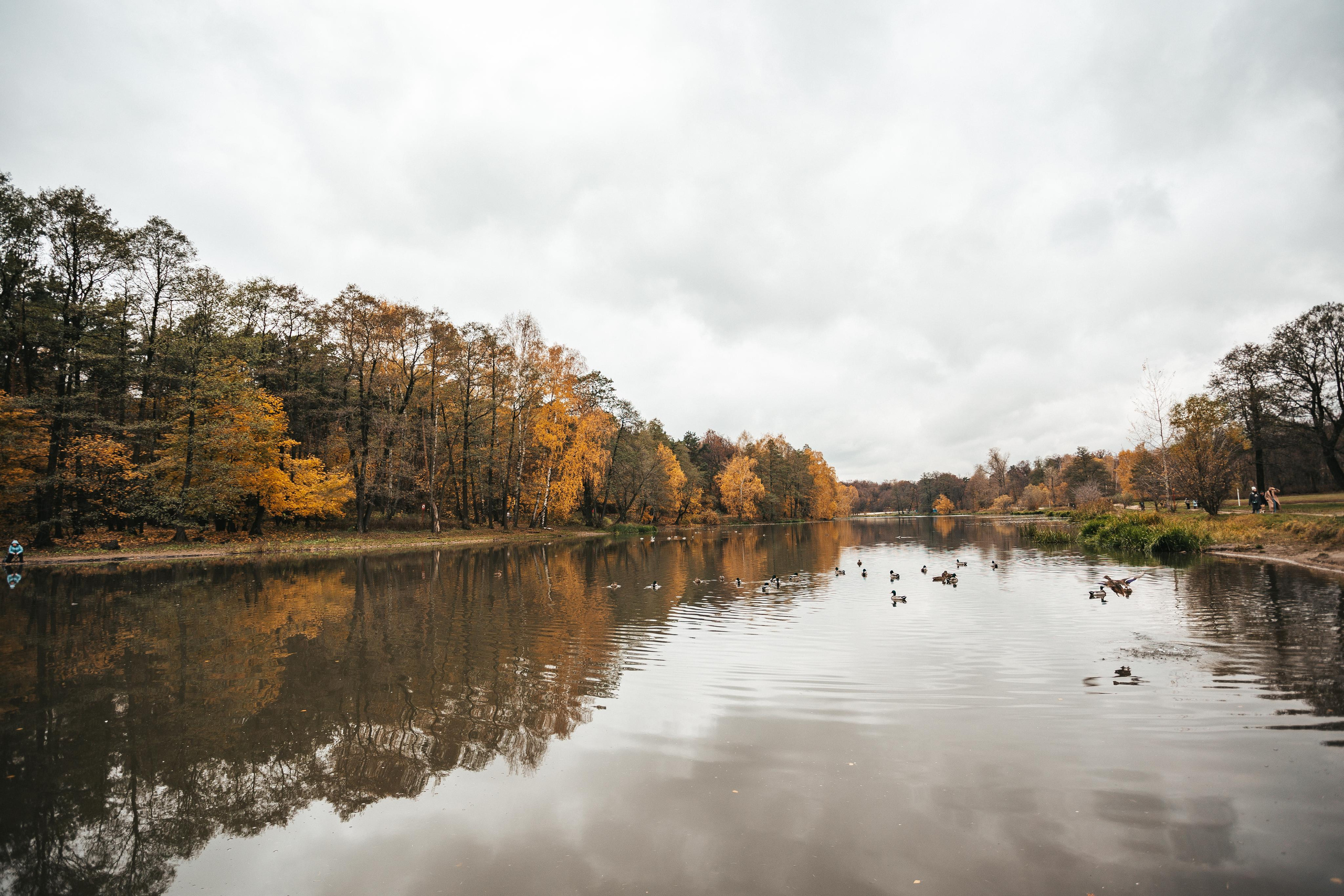 Усадьба Кузьминки. Фотограф Сонкина Татьяна