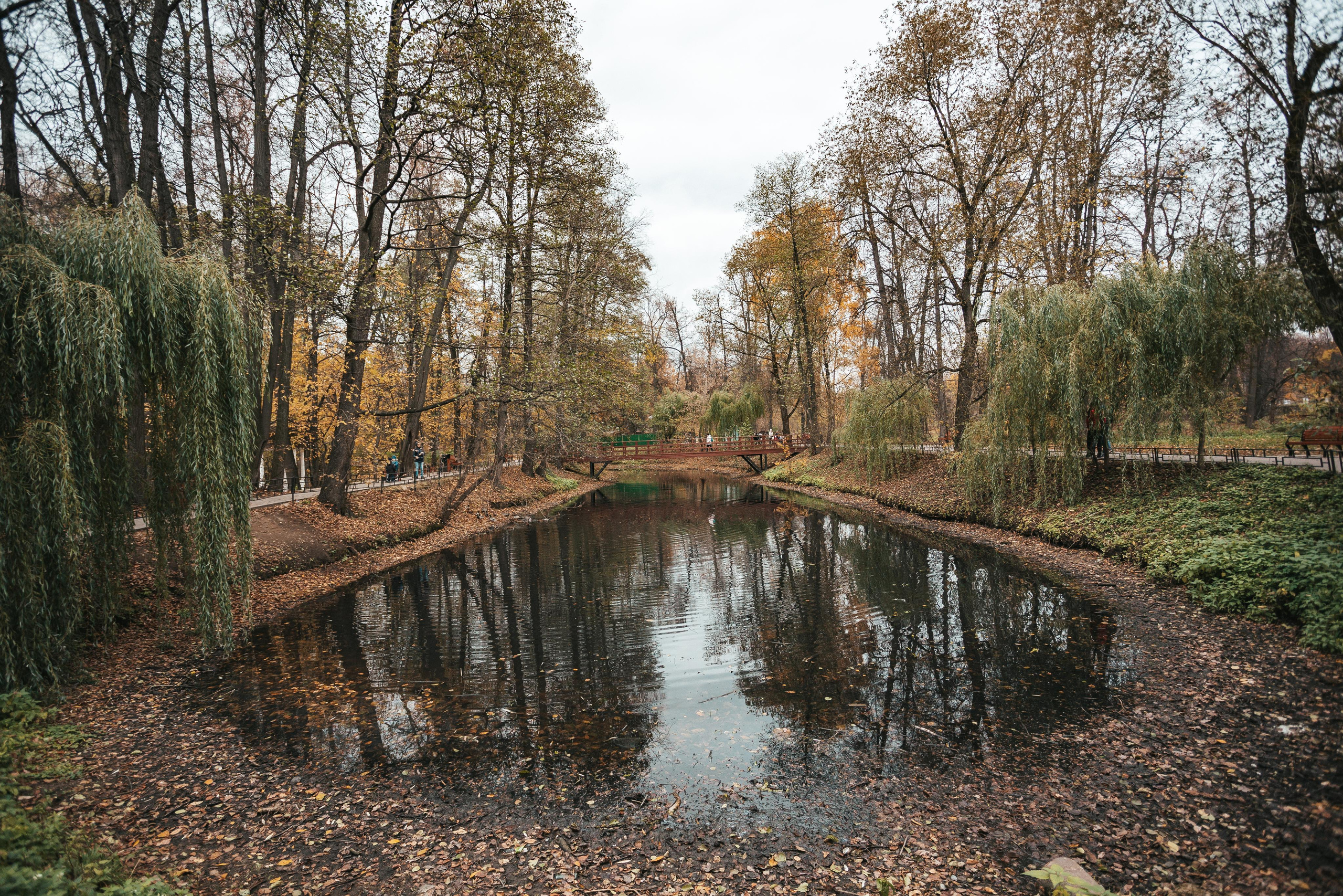 Усадьба Кузьминки. Фотограф Сонкина Татьяна