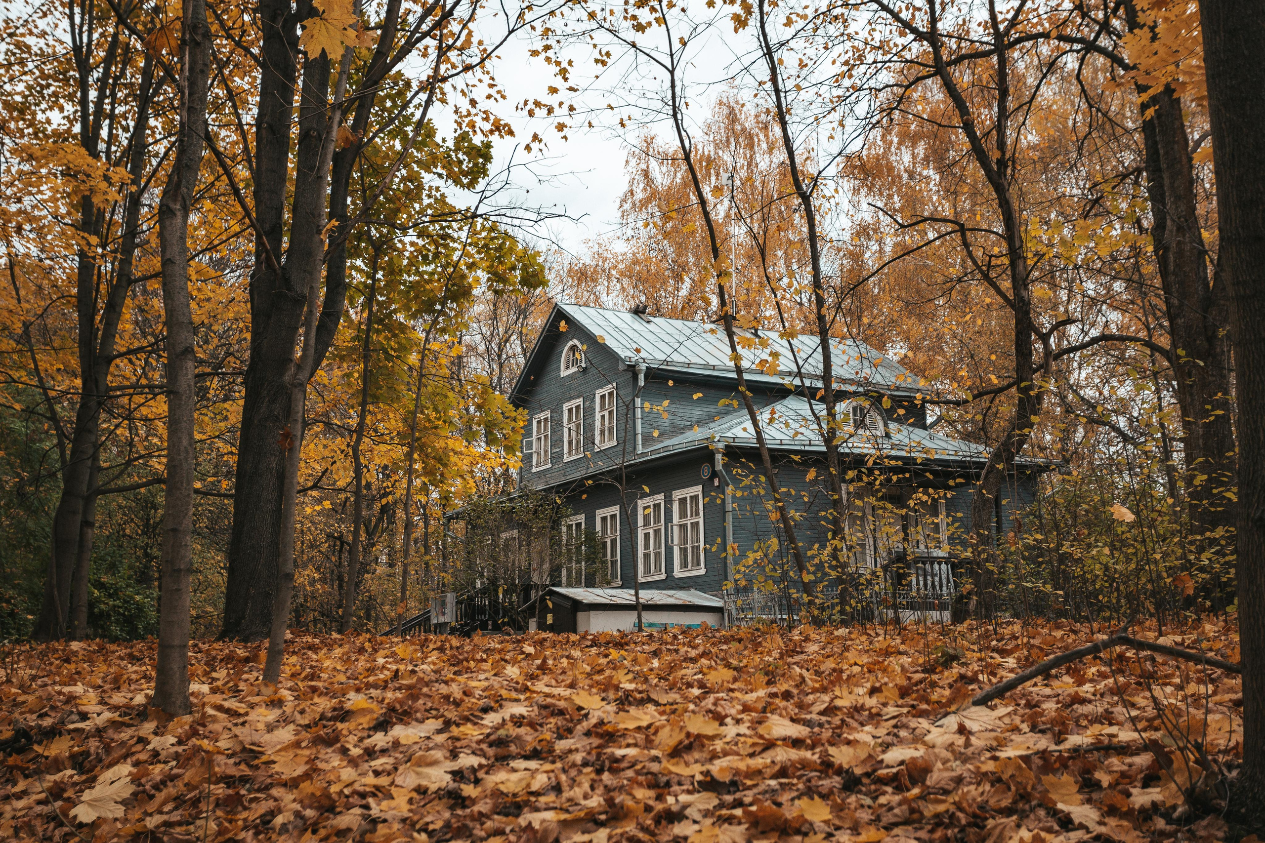 Музей К.Г. Паустовского в Москве