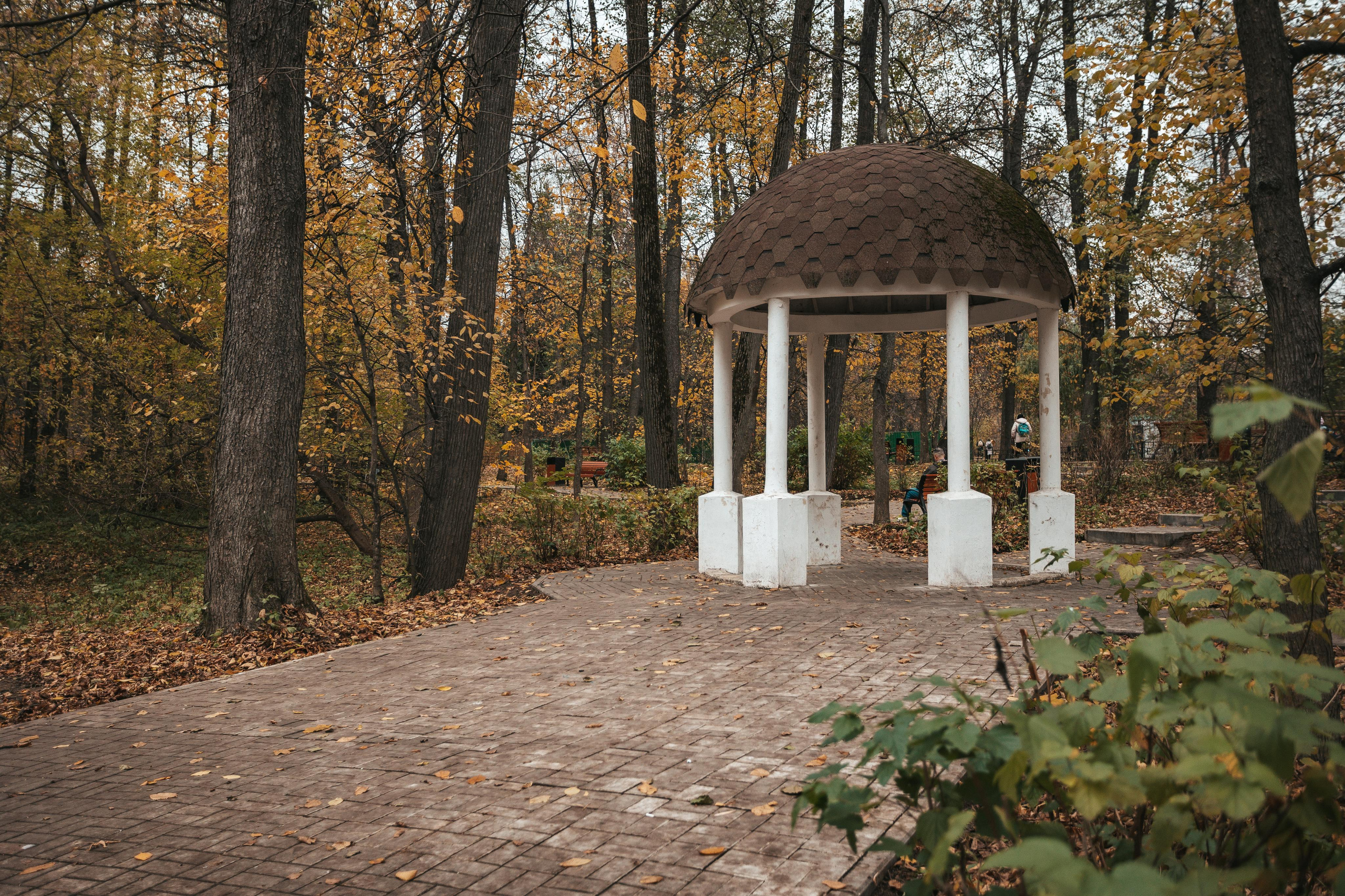 Усадьба Кузьминки. Фотограф Сонкина Татьяна
