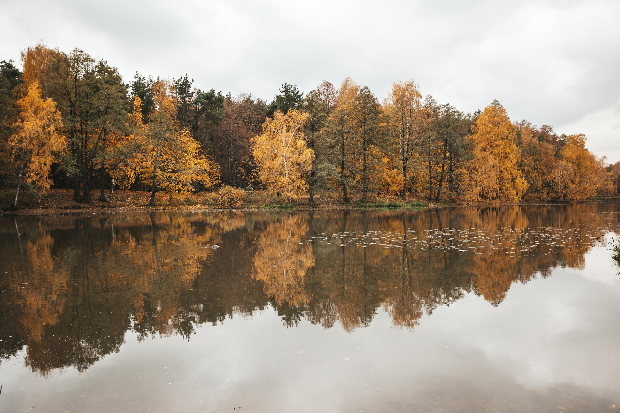 Усадьба Кузьминки. Фотограф Сонкина Татьяна