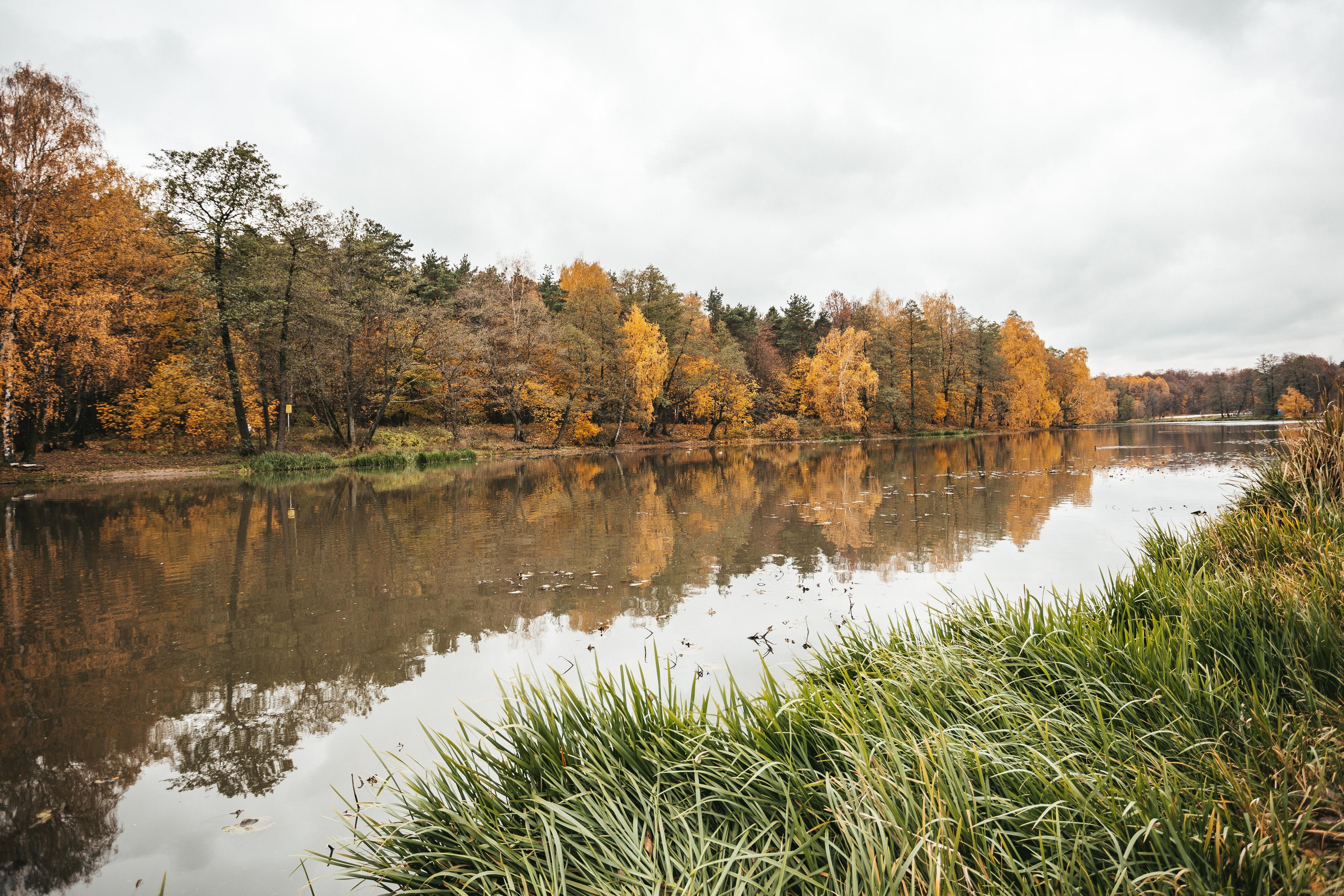 Усадьба Кузьминки. Фотограф Сонкина Татьяна