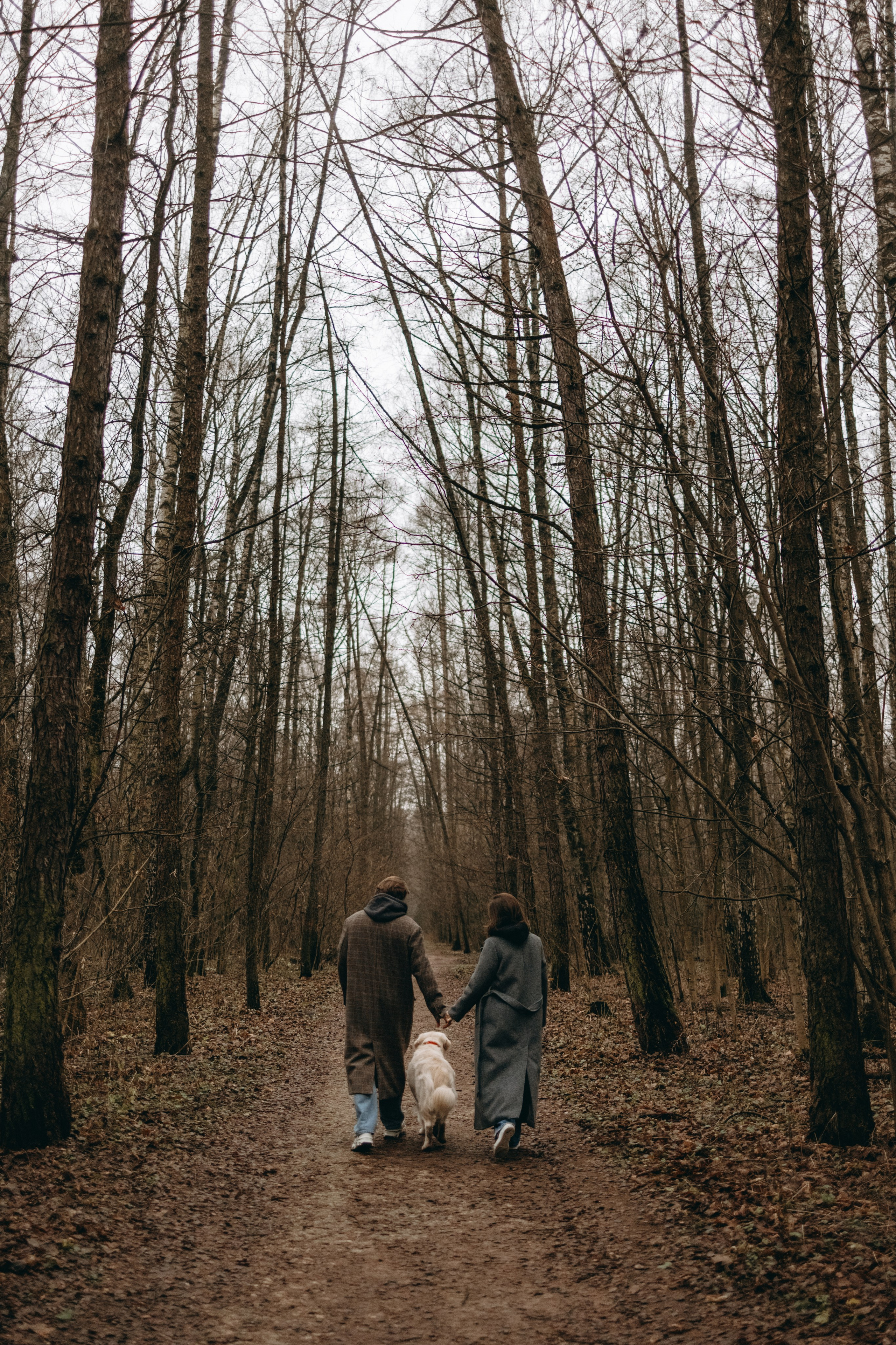 Лаки и его семья. Фотограф — Анималист | Санкт-Петербург