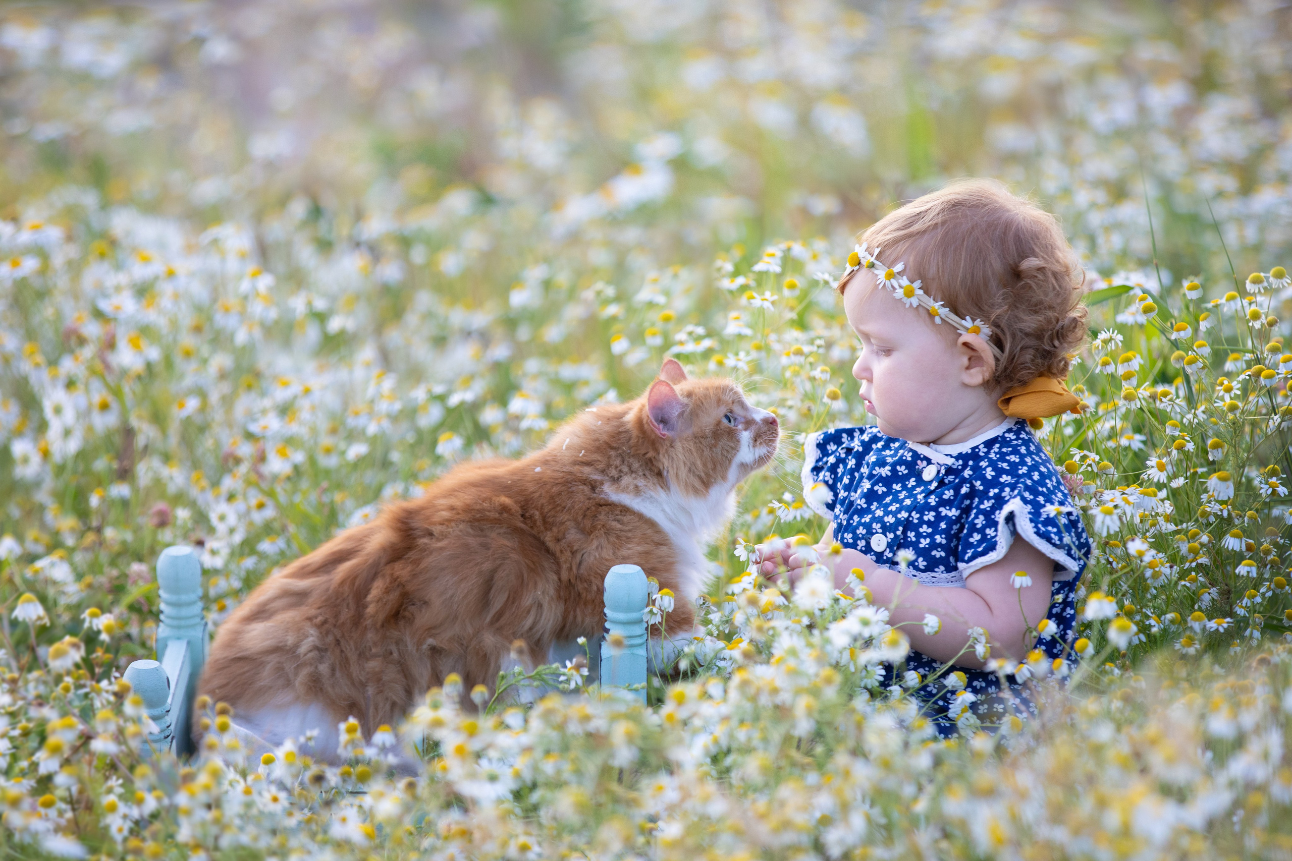 Обо мне. Детский и ньюборн фотограф в Санкт-Петербурге Марина Айдинян