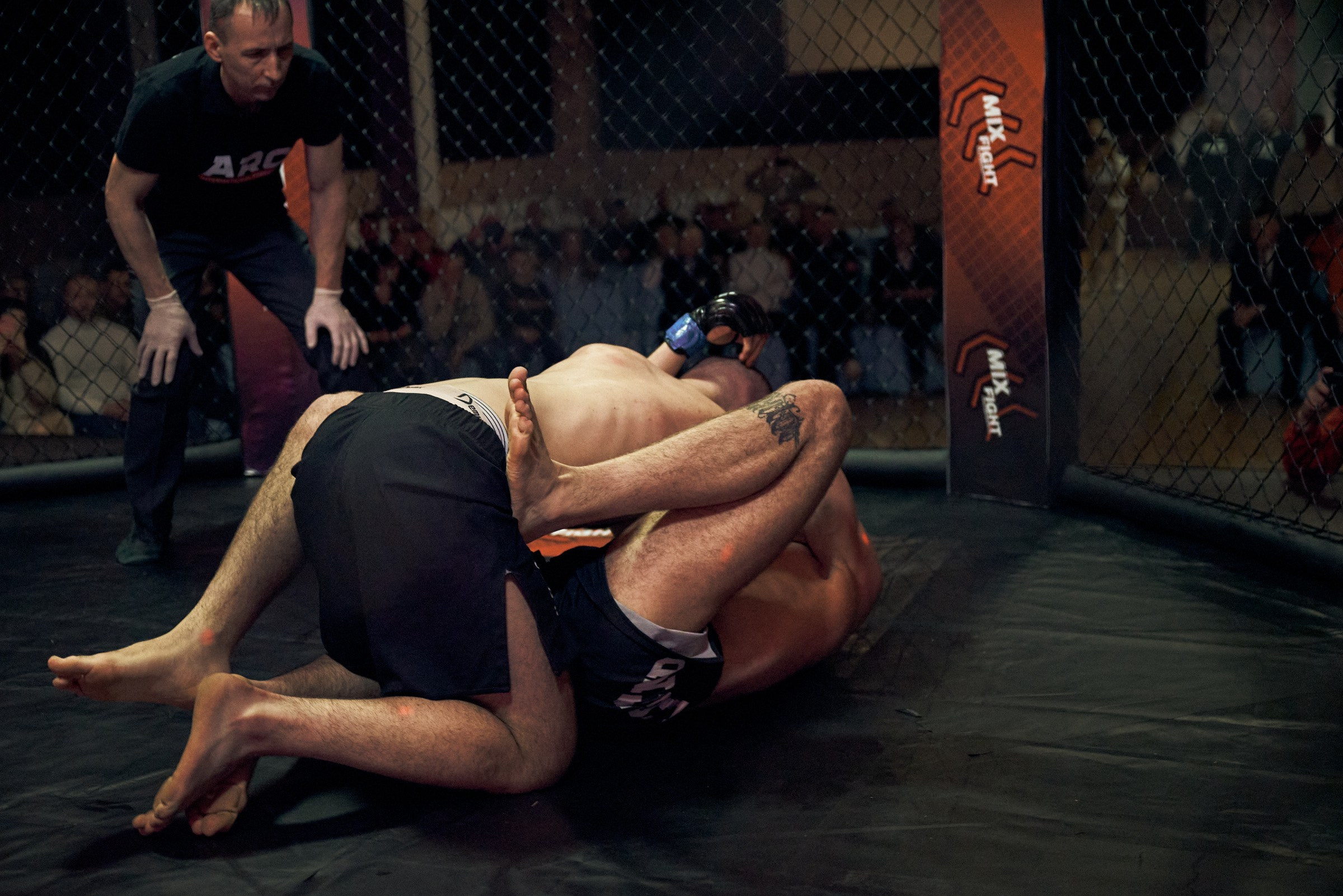 Бои. Маляревич Дмитрий свадебный фотограф