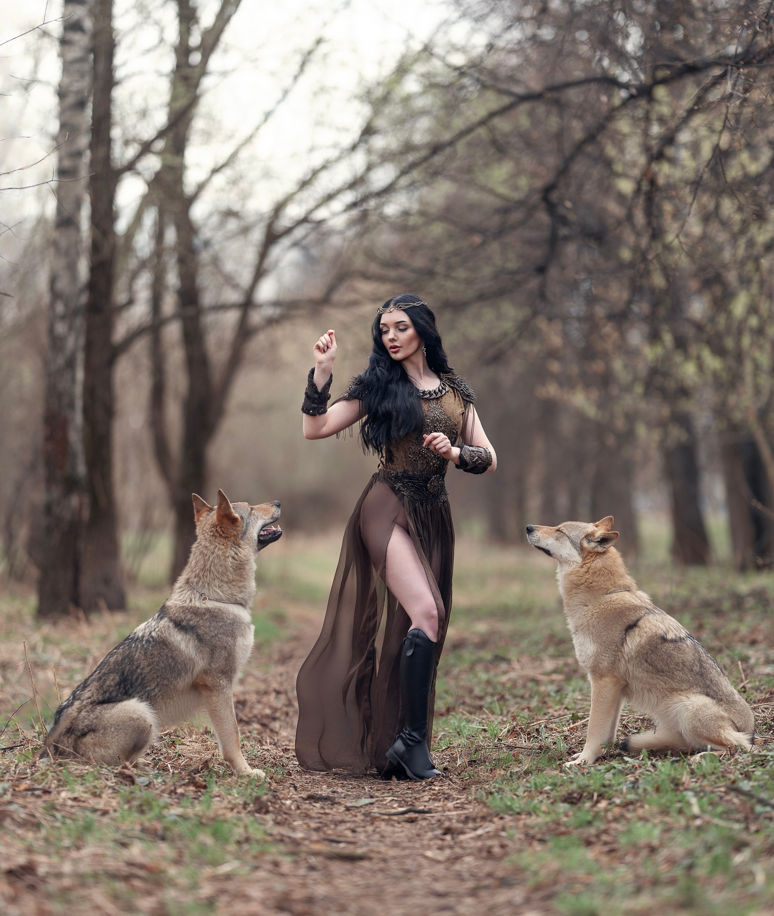 Волки. Профессиональный фотограф в Москве Марина Григорьева