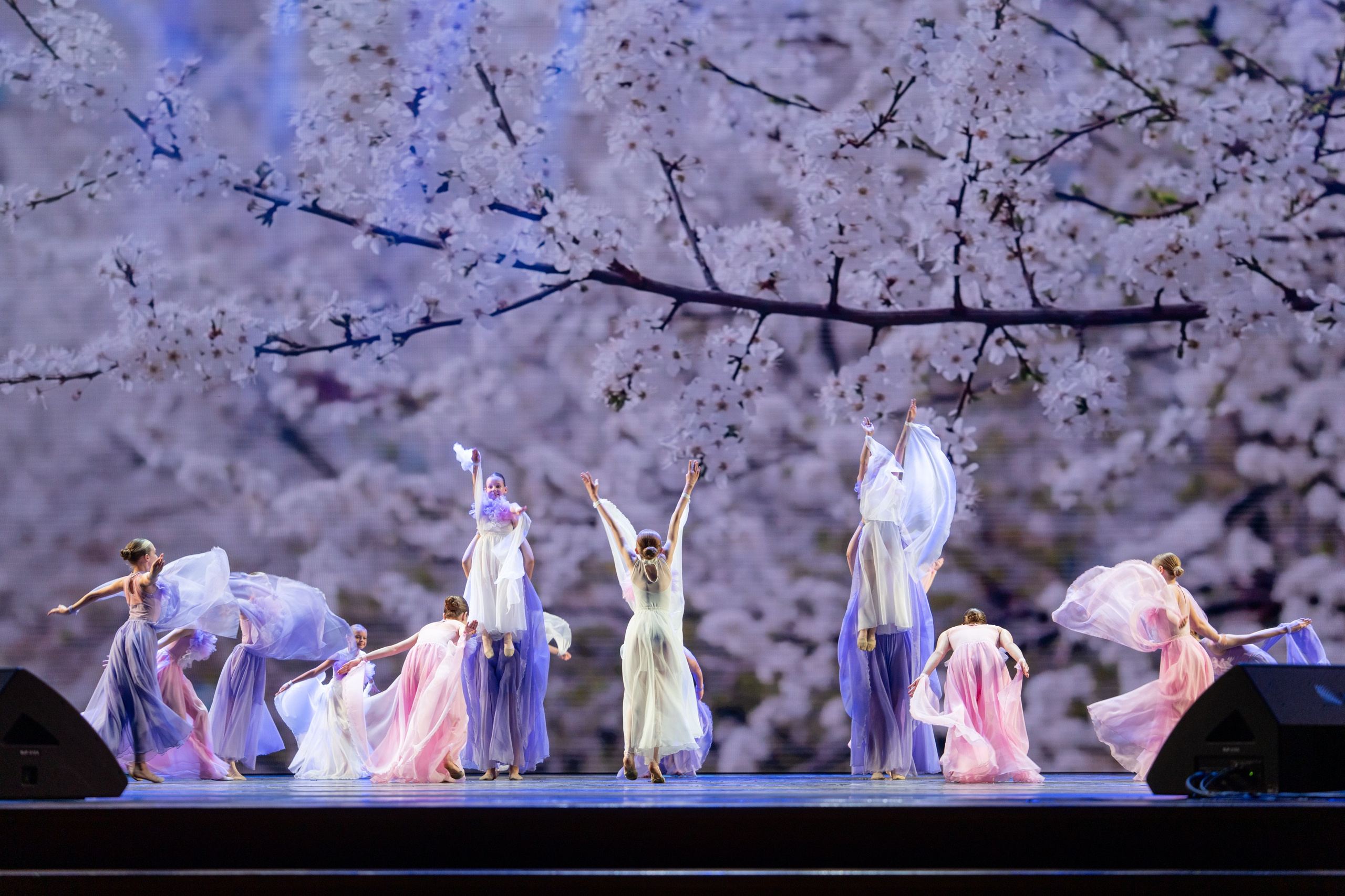 17 мая, г. Москва, Кремль, Концерт. Золотое яблочко