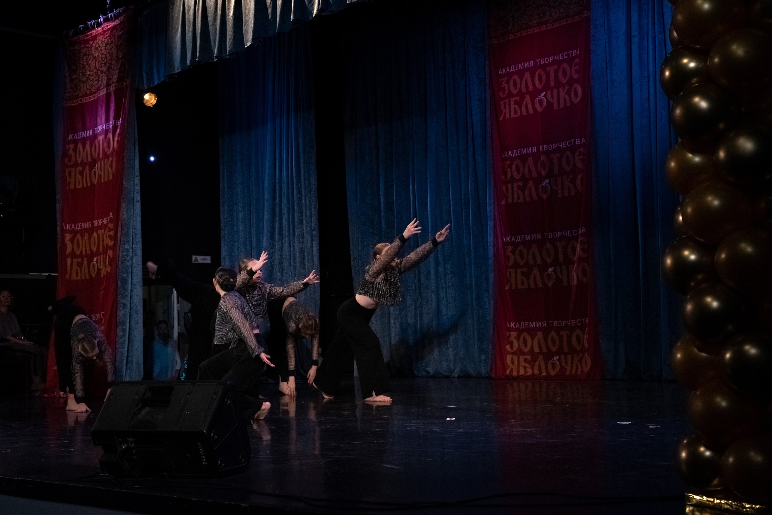 7 декабря, г. Выборг. Золотое яблочко