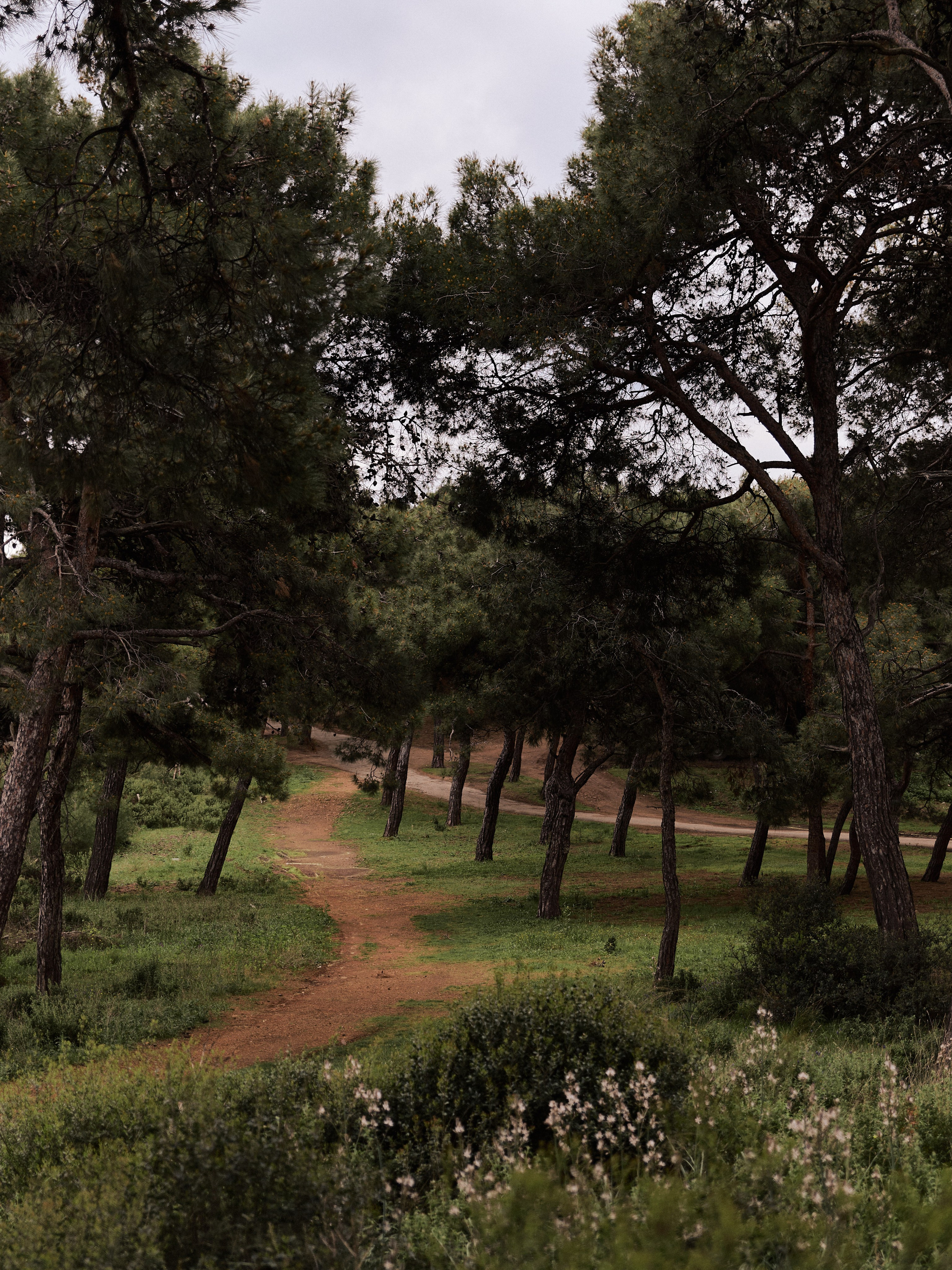 Улицы. Jorgis Talè — photographer, kind person, teacher of arts and other mag