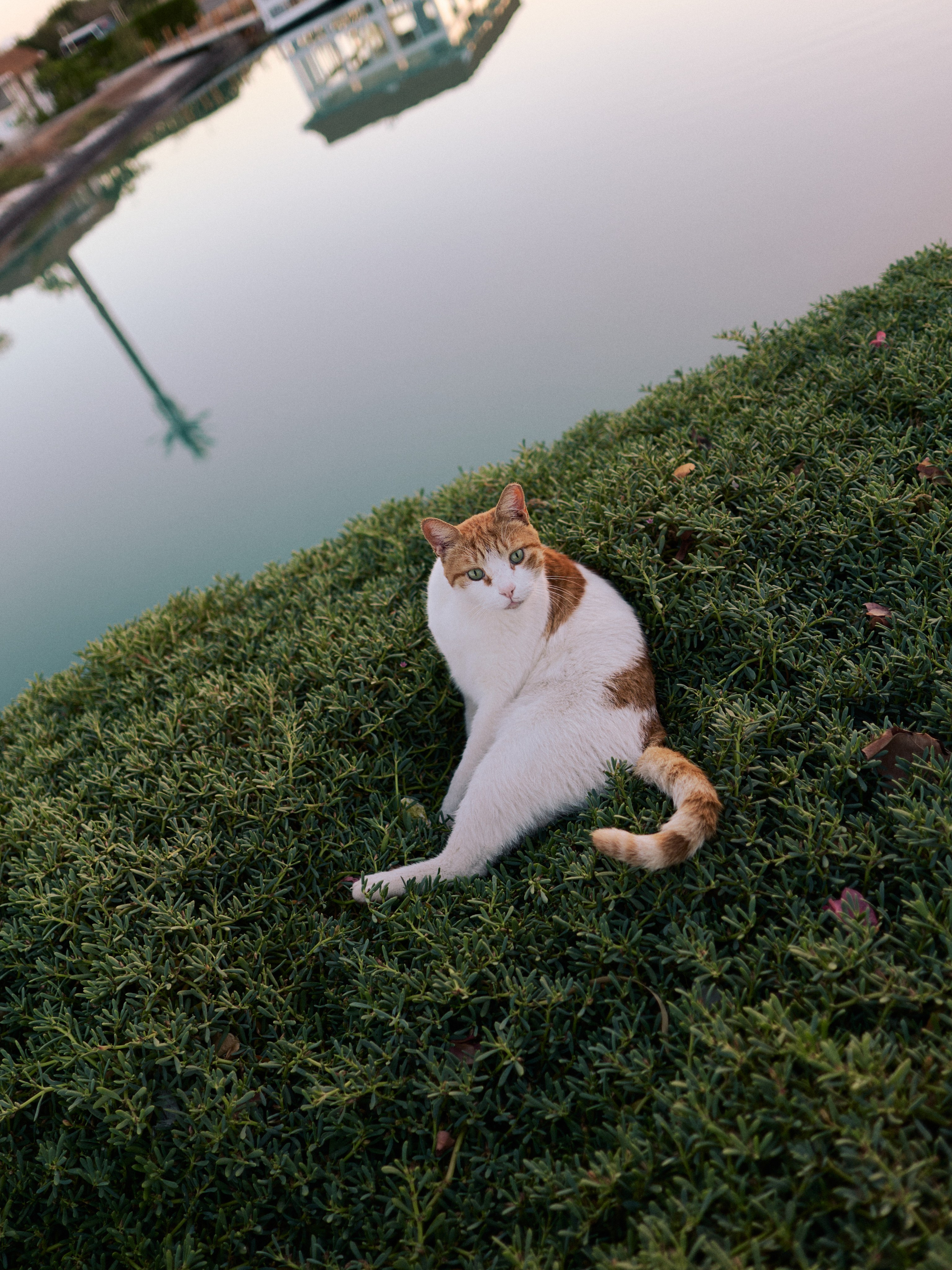 Другое 3. Jorgis Talè — photographer, kind person, teacher of arts and other mag