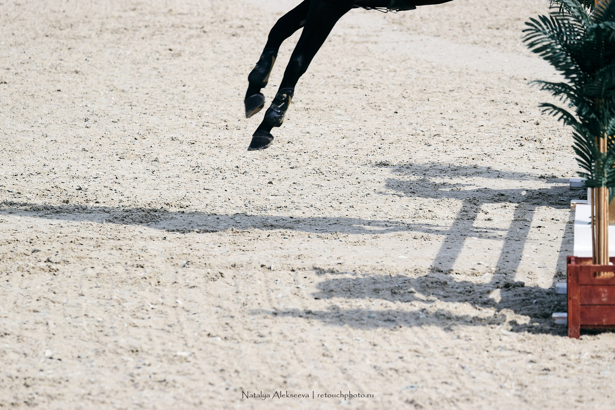 Евразийские игры по конкуру, Maxima Stables | 07'2023. Репортажный фотограф и ретушер в Москве Наталья Алексеева