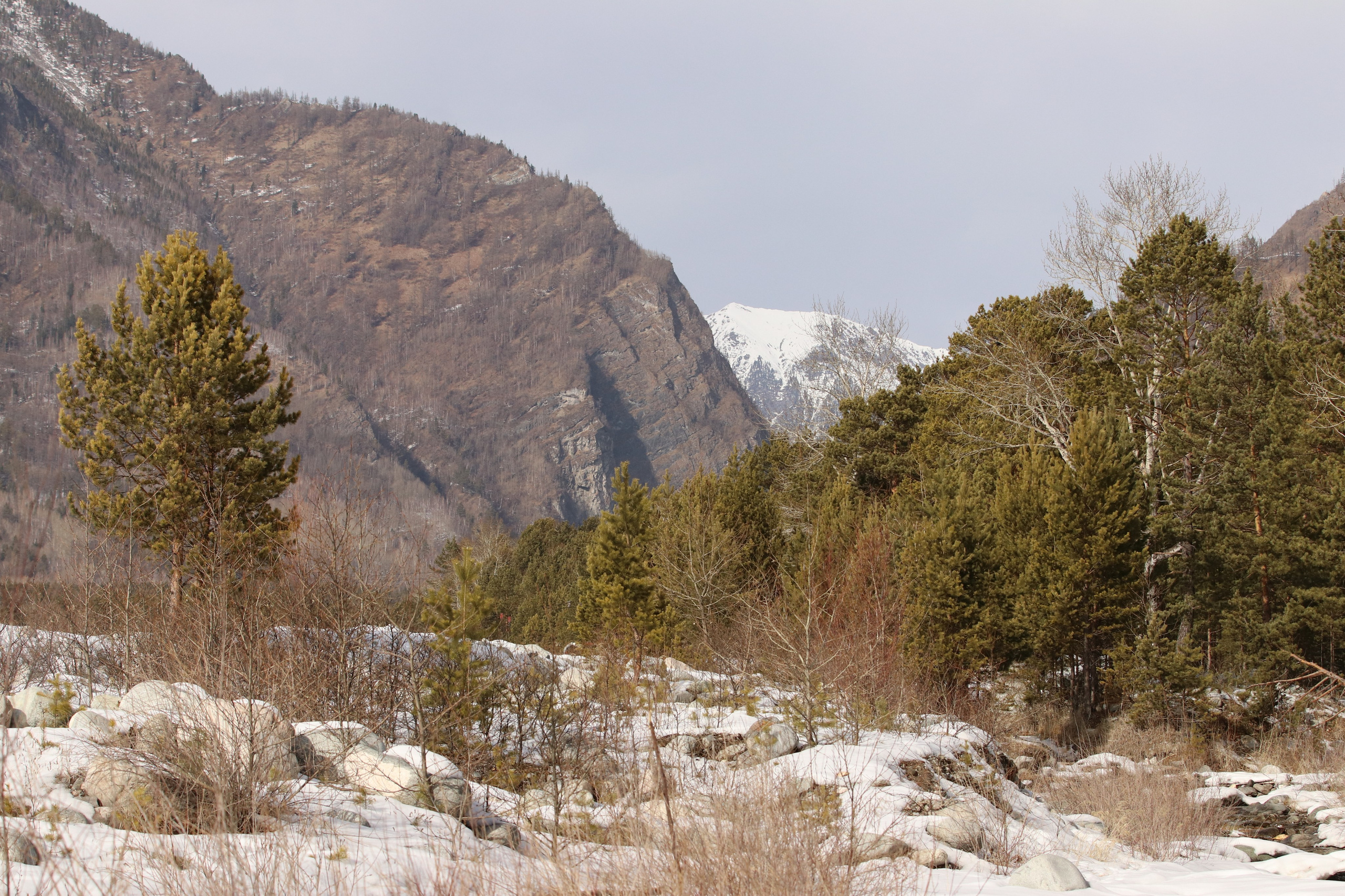 Аршан. Март 2023. Путешественник-фотограф из Санкт-Петербурга Татьяна Свистулина