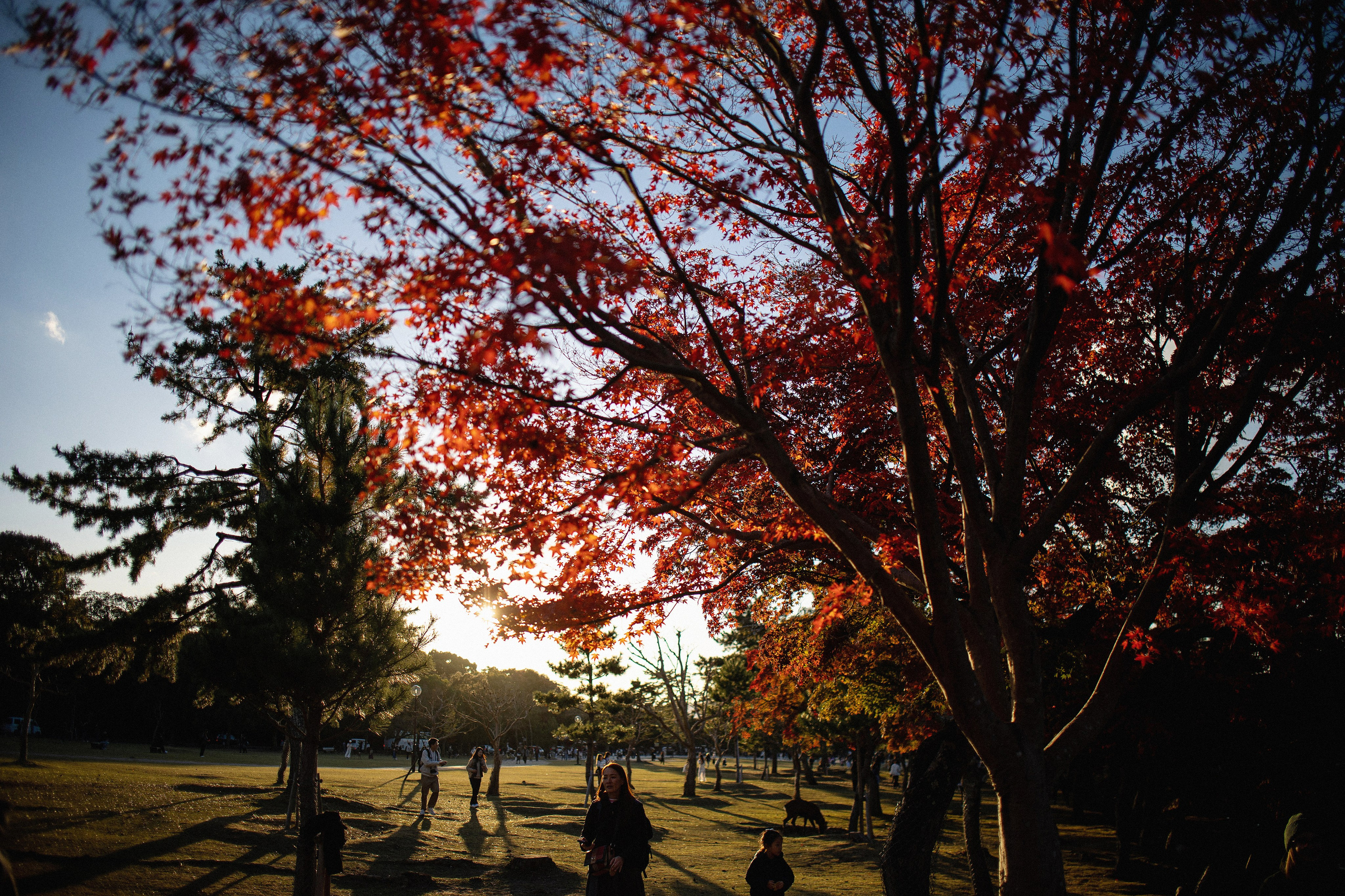 Япония. Главная