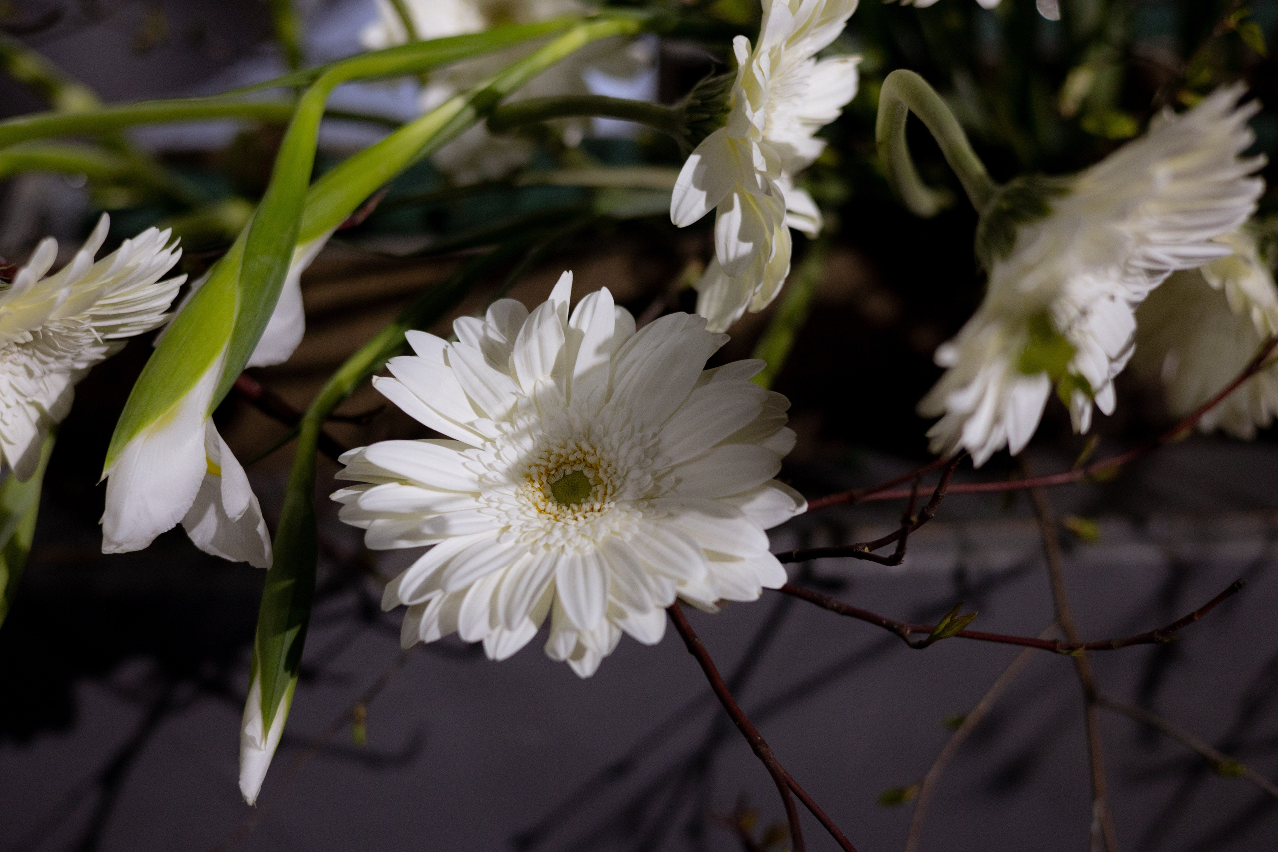 Оформление Отчетного концерта Музыкальной школы Глазунова. Оформление свадеб, декор свадеб Вера Маркова, Москва