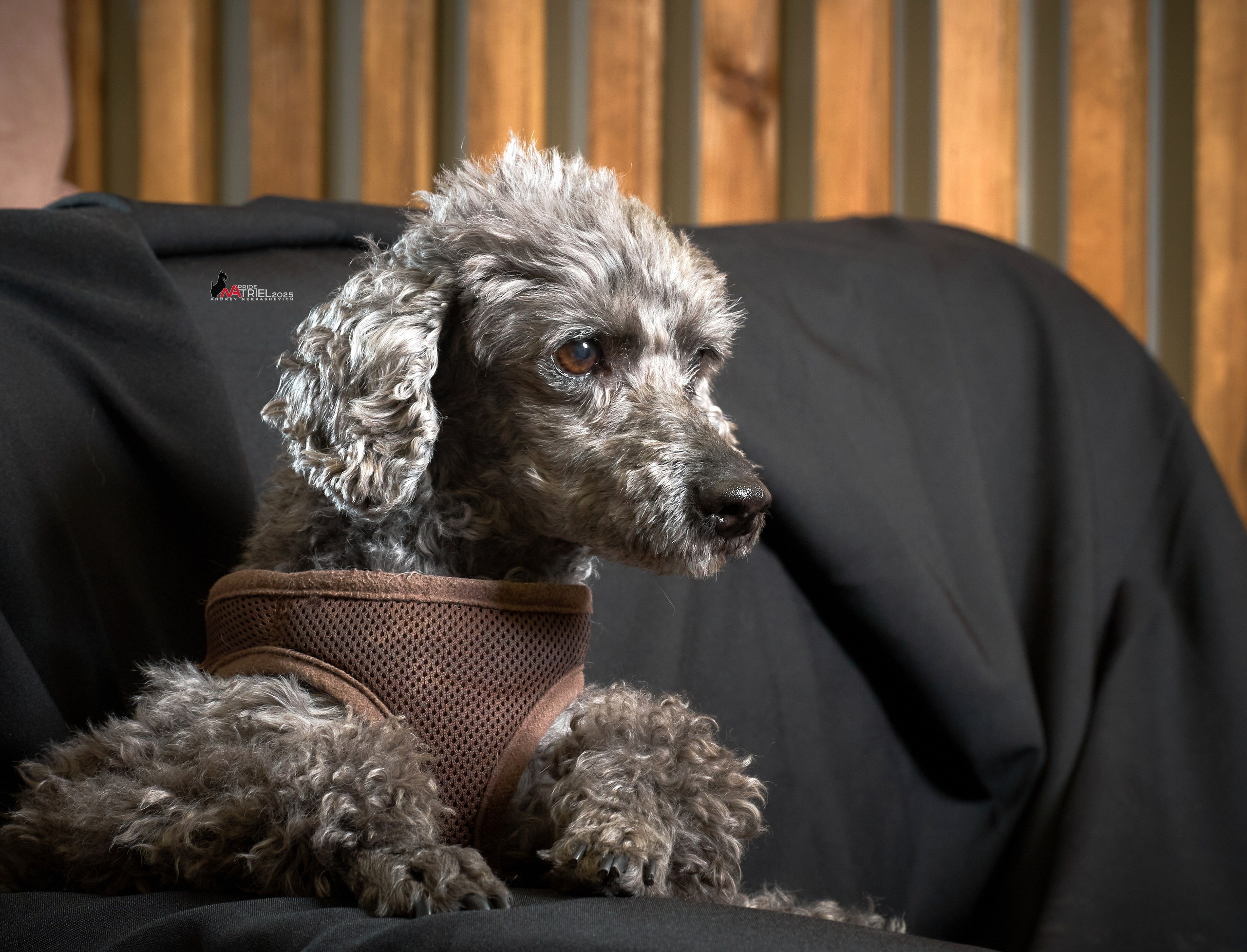 Репортаж GROOM с мобильным светом