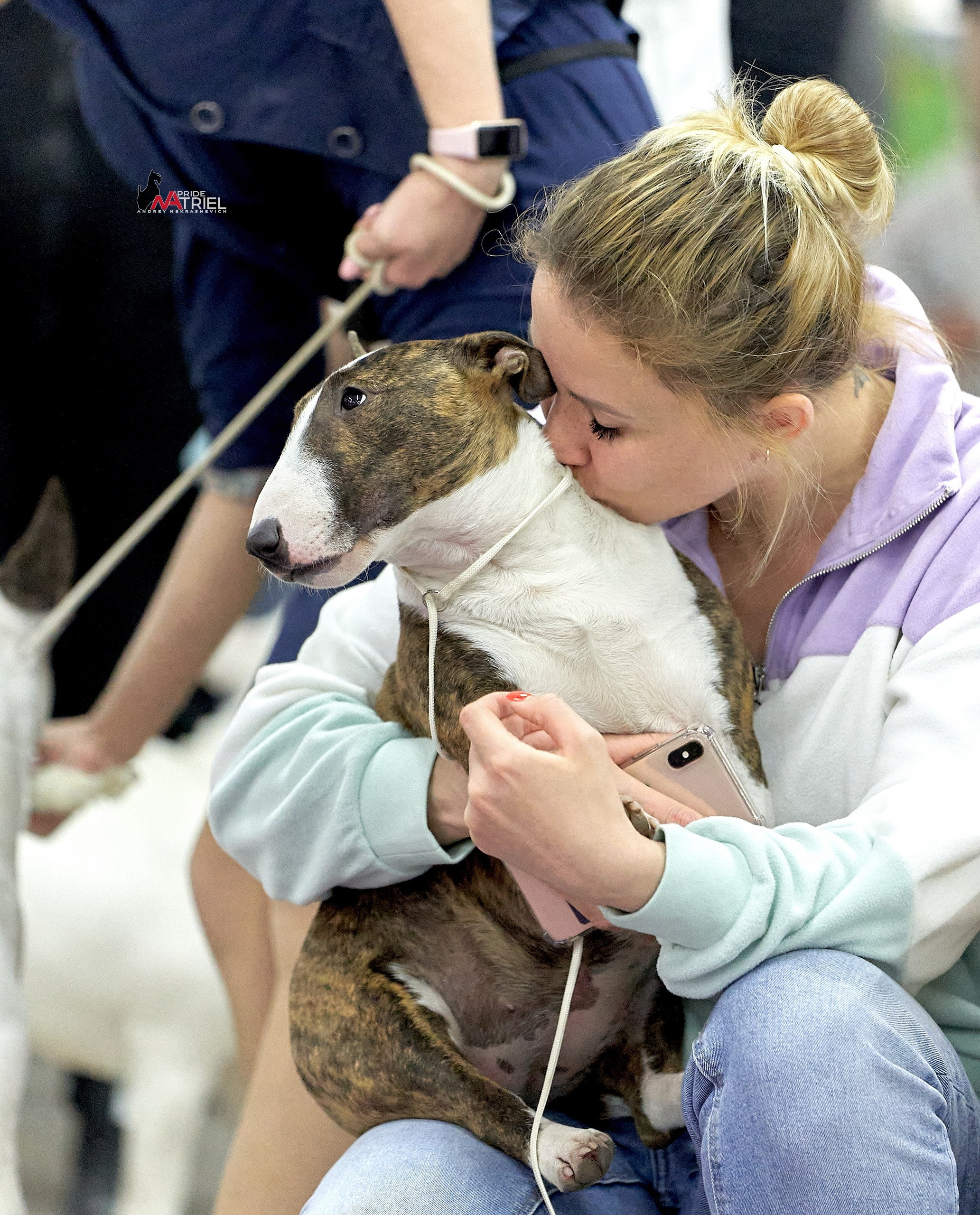 Собаки и Люди — галерея NATRIEL