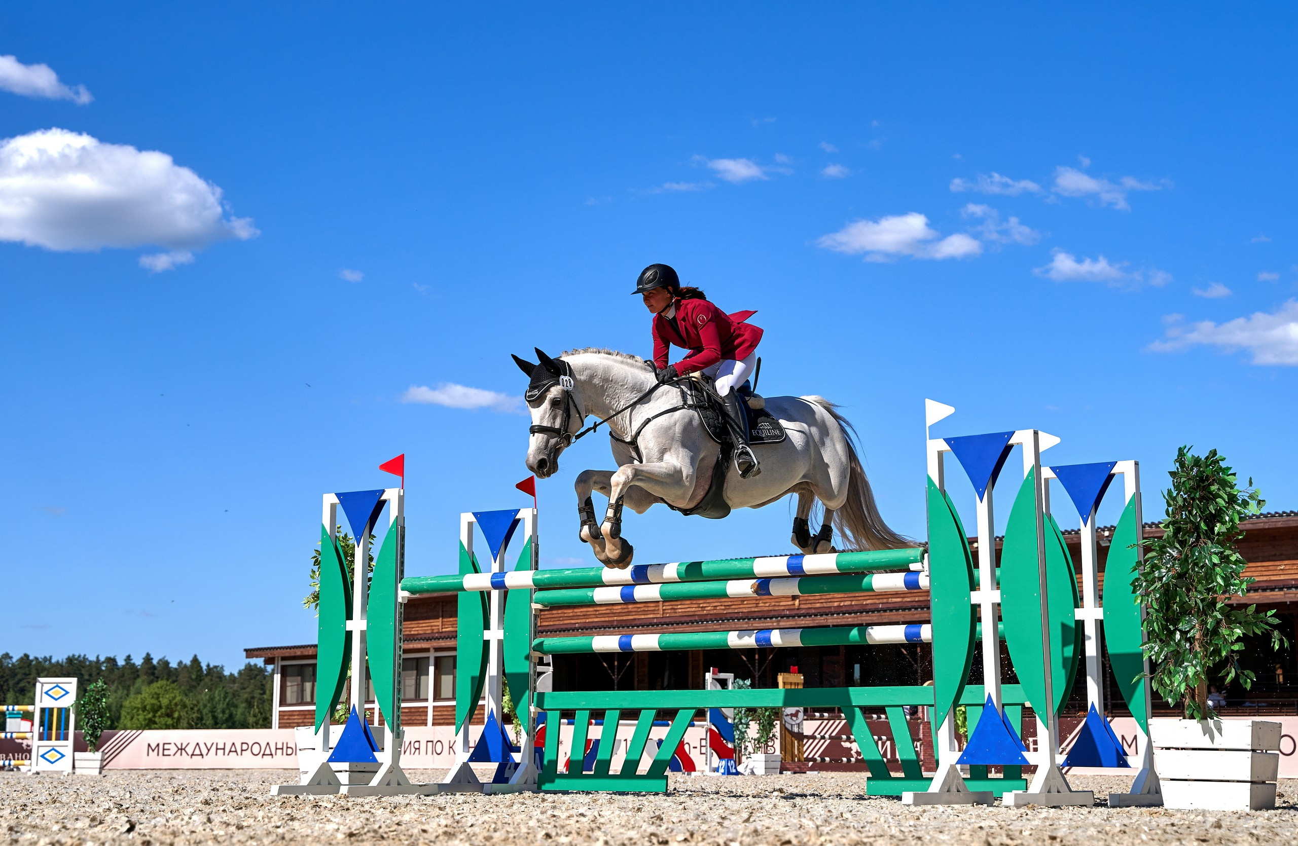 Соревнования на лошадях — галерея NATRIEL