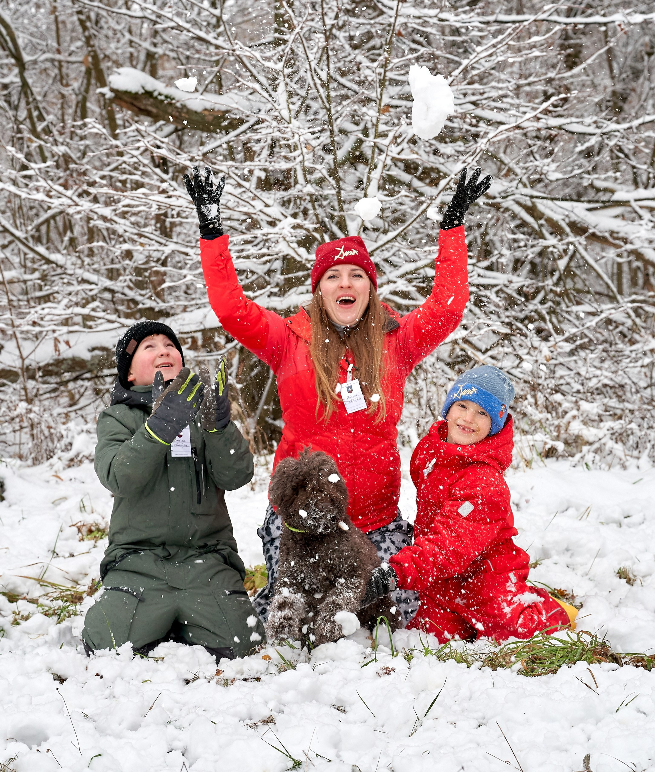 Мероприятия с собаками — галерея NATRIEL