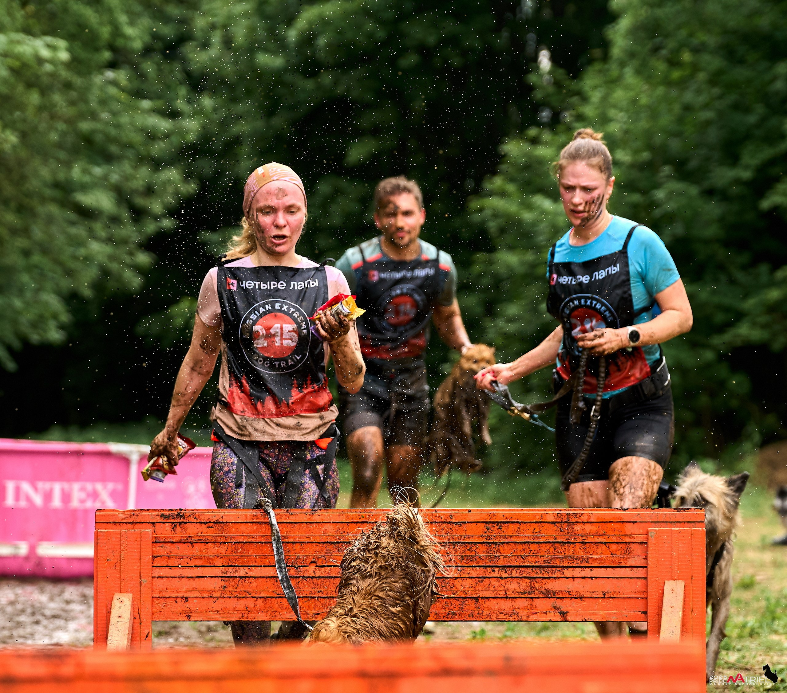 Russian Extreme Dog Trail — 2025