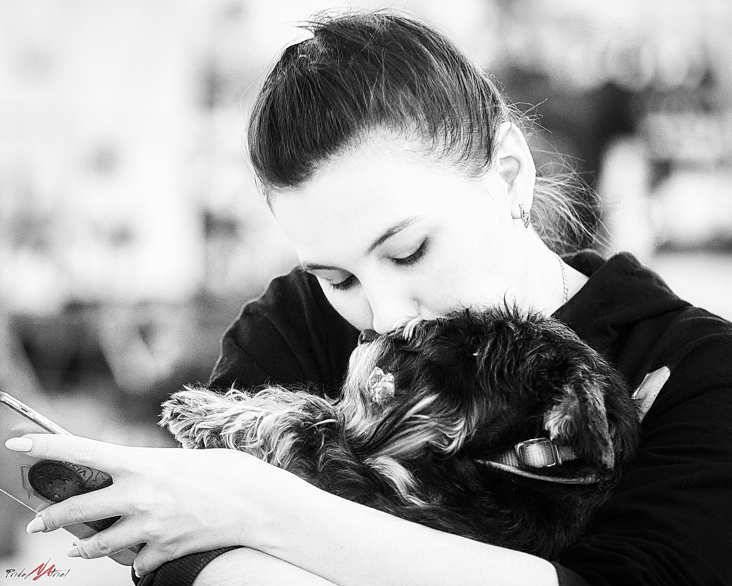 Собаки и Люди — галерея NATRIEL