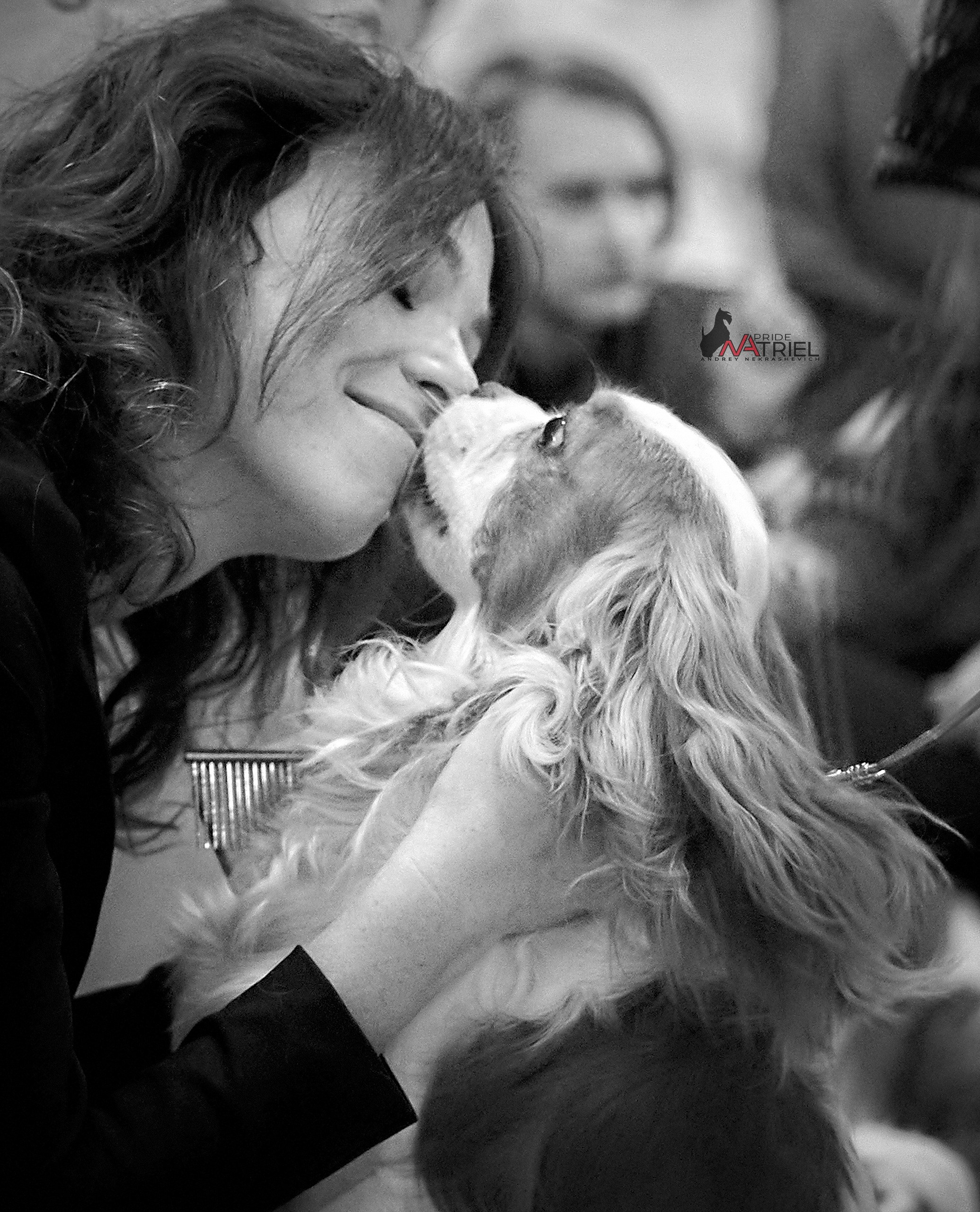 Призовые места — галерея NATRIEL