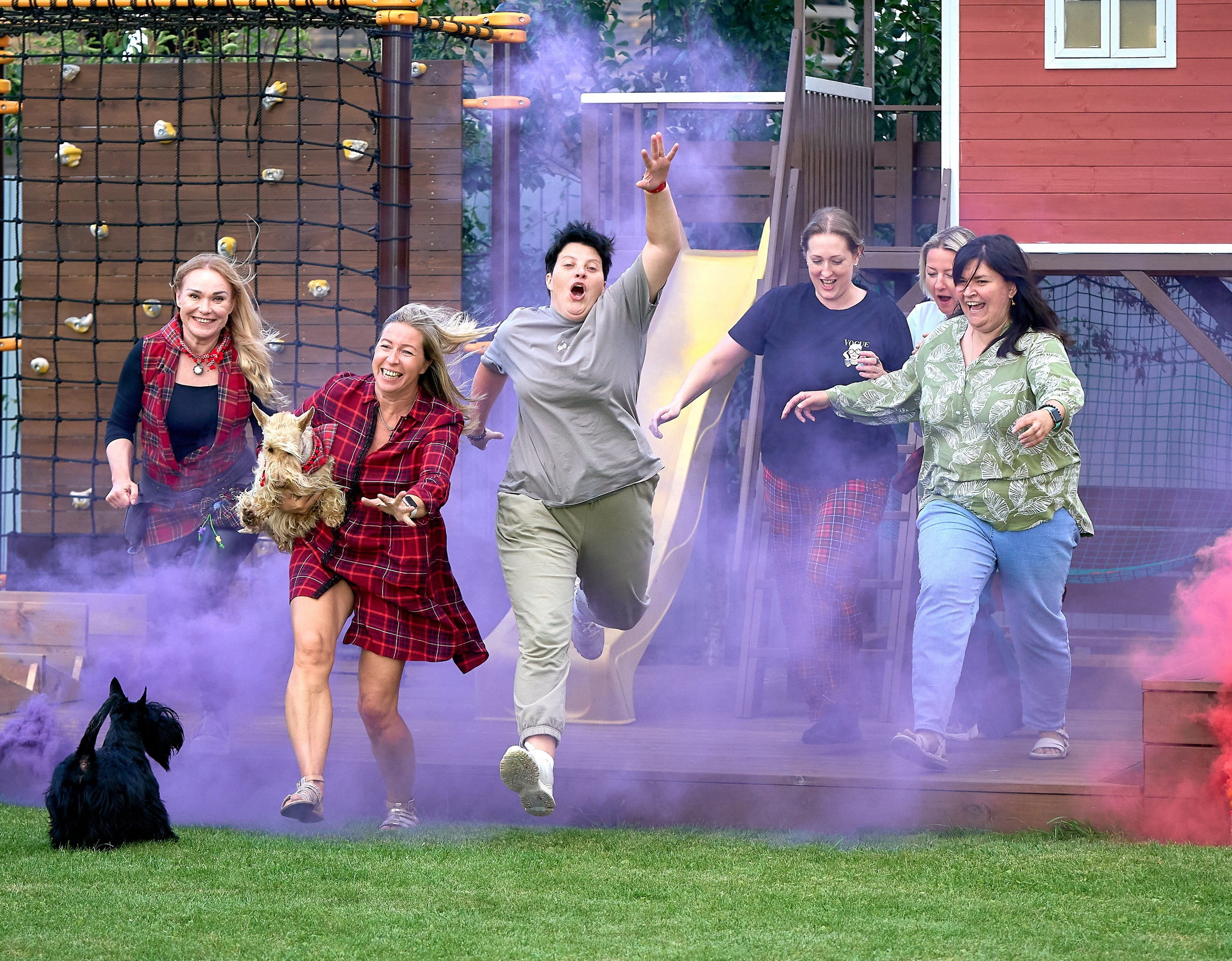 Мероприятия с собаками — галерея NATRIEL