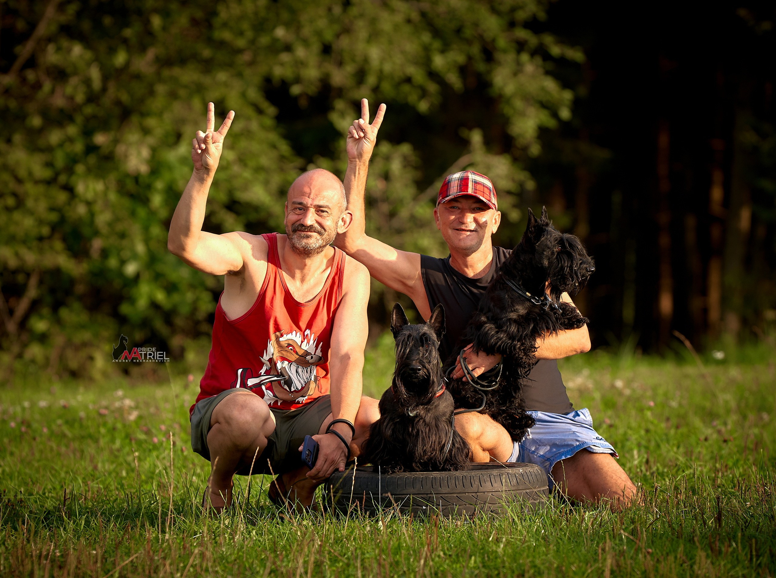 Собаки и Люди — галерея NATRIEL