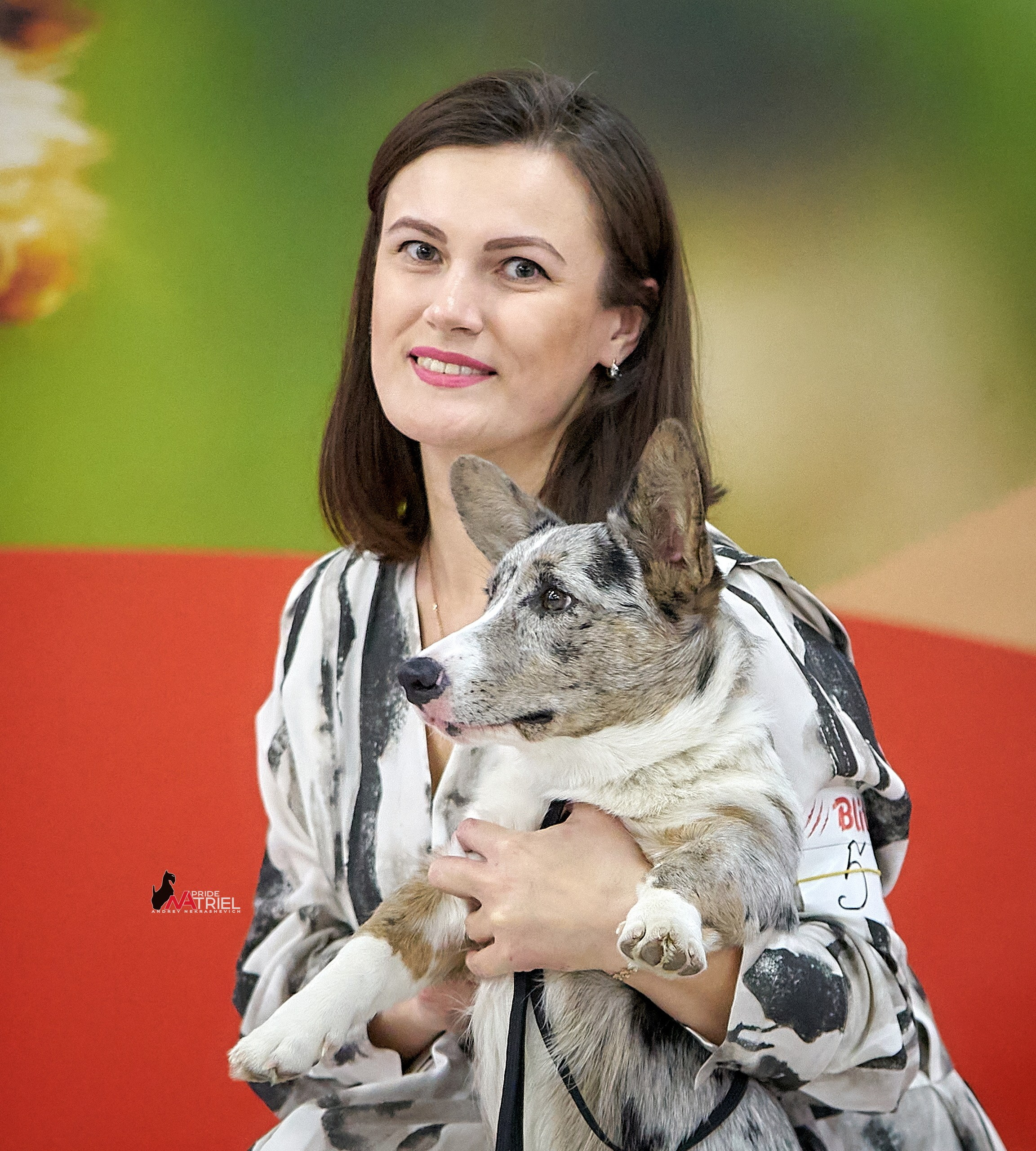 Собаки и Люди — галерея NATRIEL