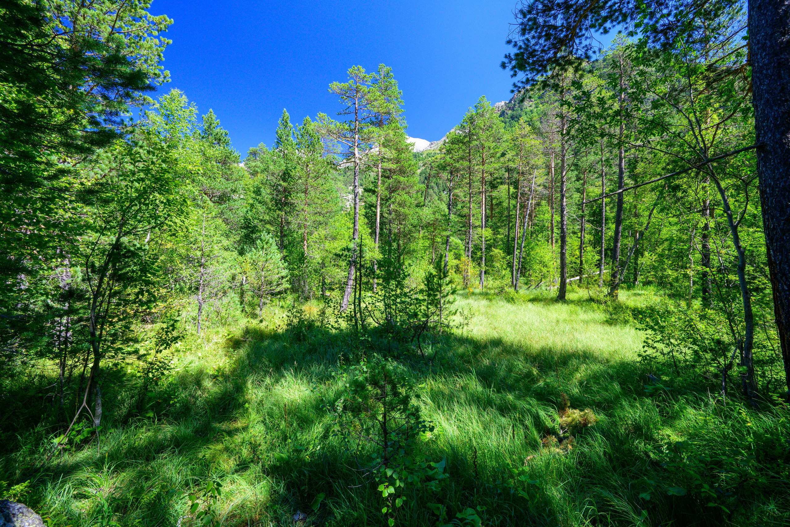 Экспедиция 2025