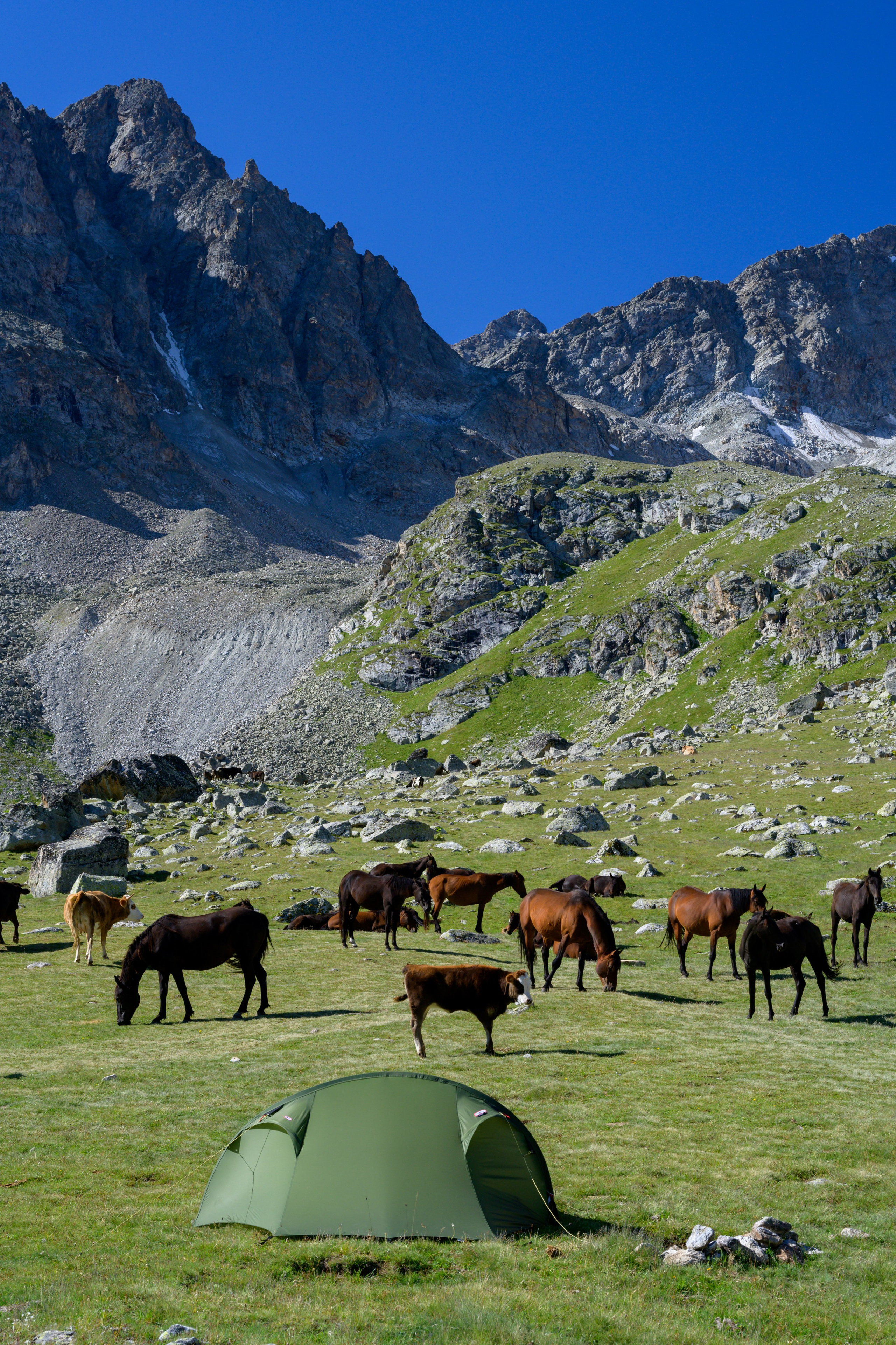 Экспедиция 2025