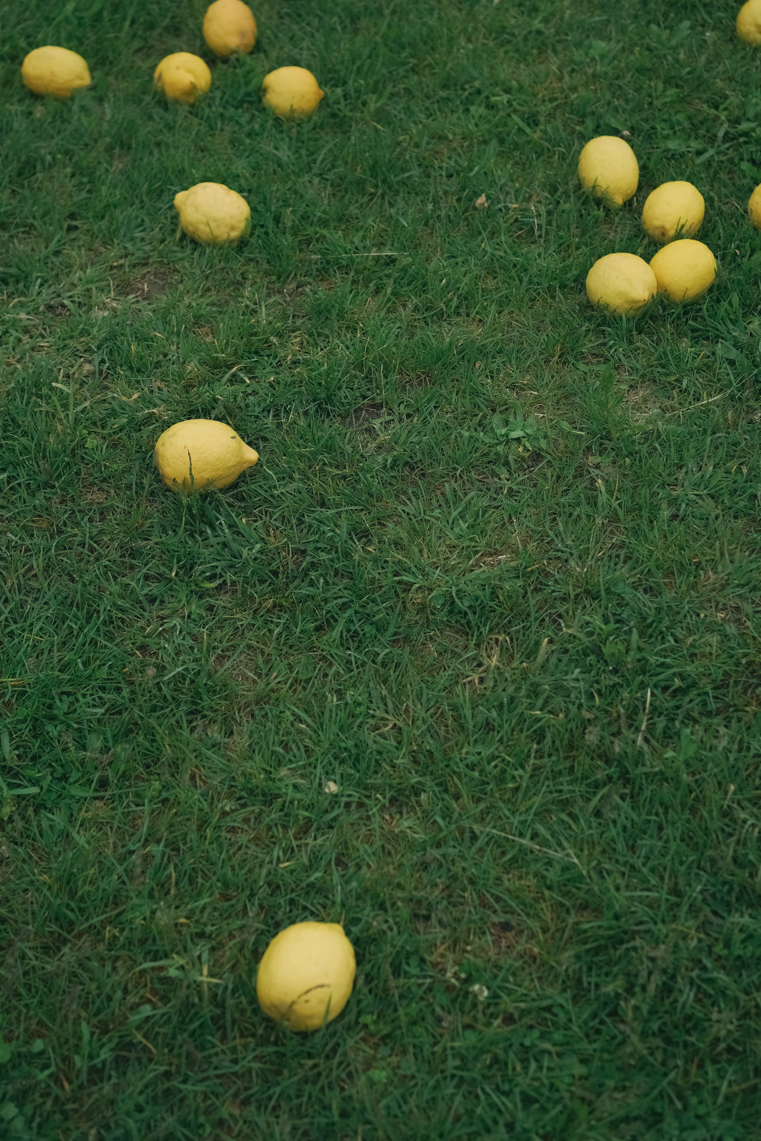 Италия. Свадебный и семейный фотограф Афанасьева Анна в Кисловодске