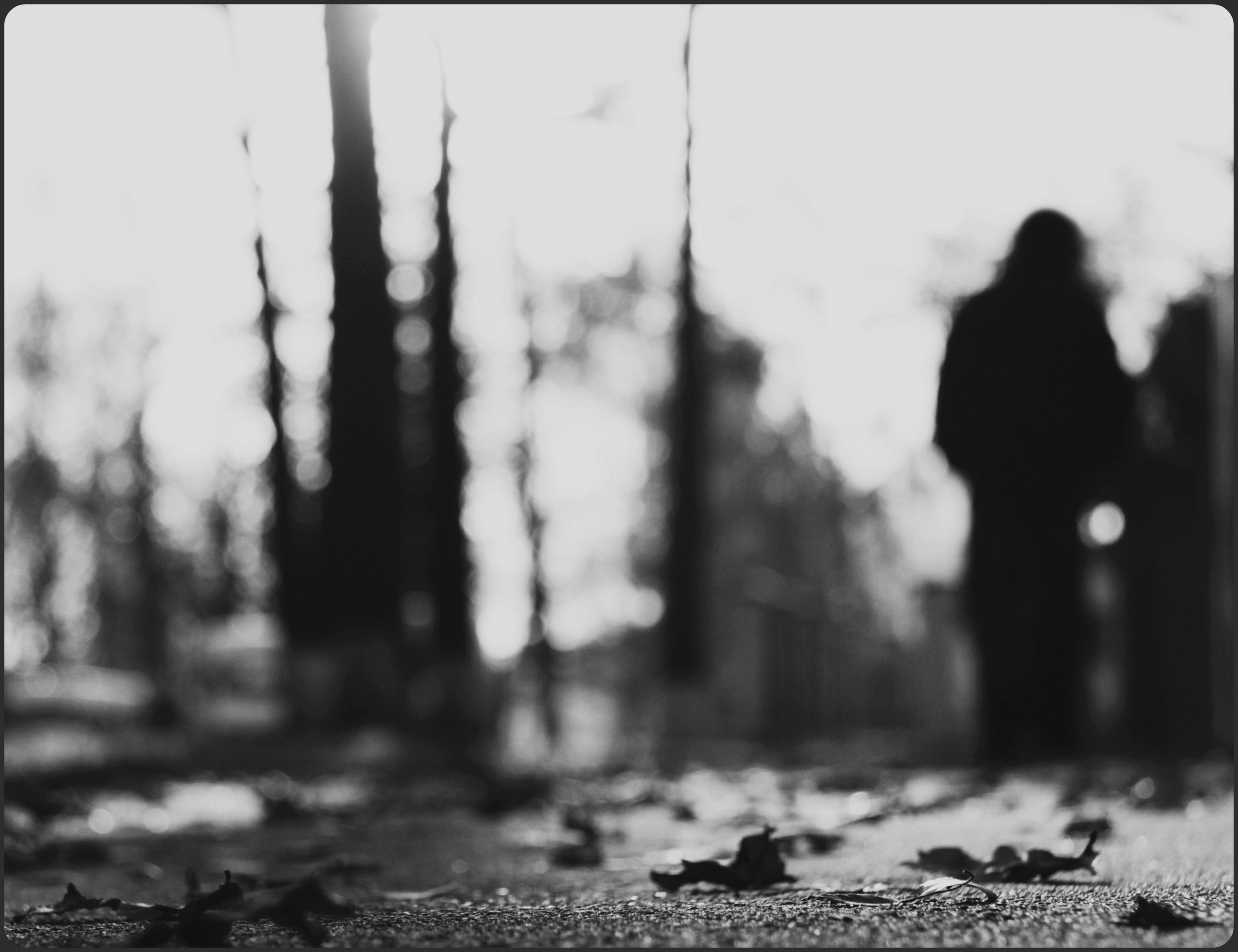 Работы. Свадебный фотограф в Москве Сафонова Анна